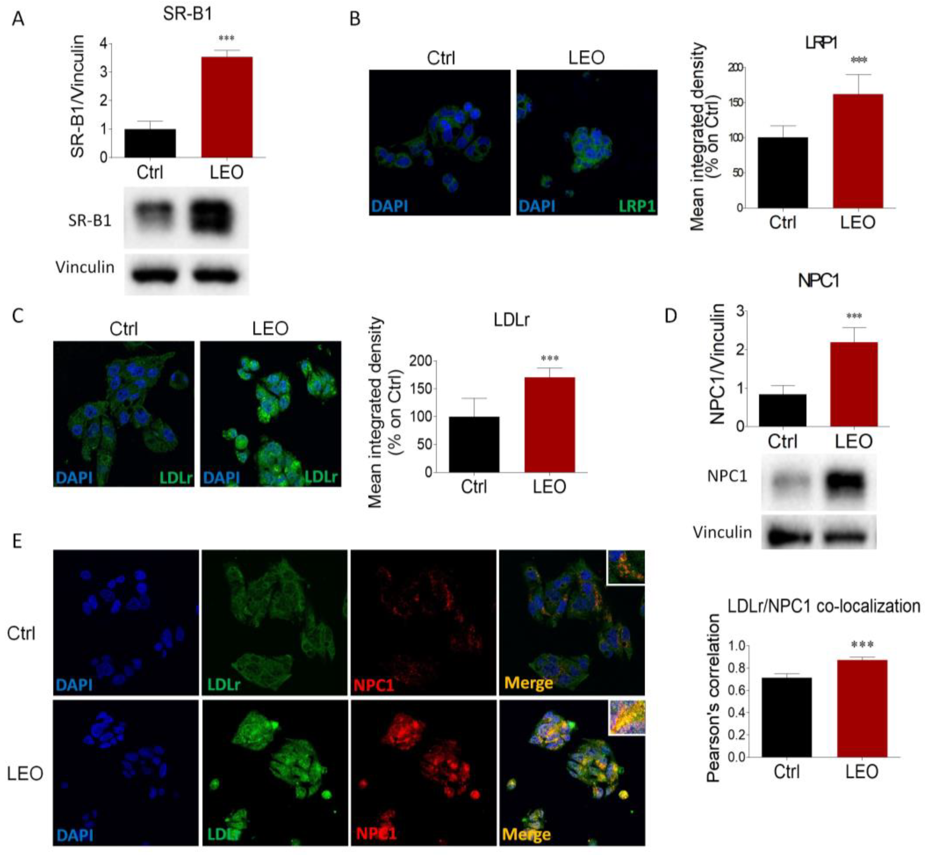 Cimb 45 00026 g003 Cimb 45 00026 g003