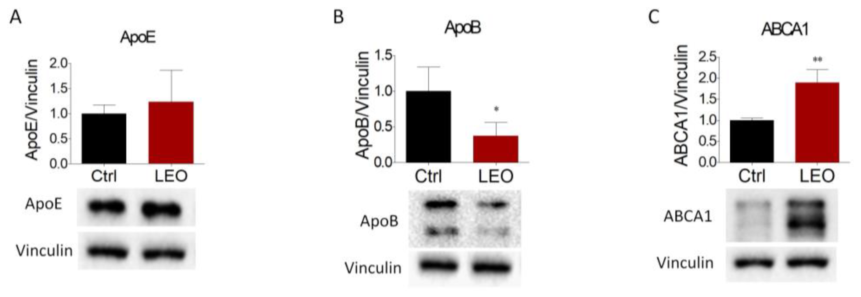 Cimb 45 00026 g004 Cimb 45 00026 g004
