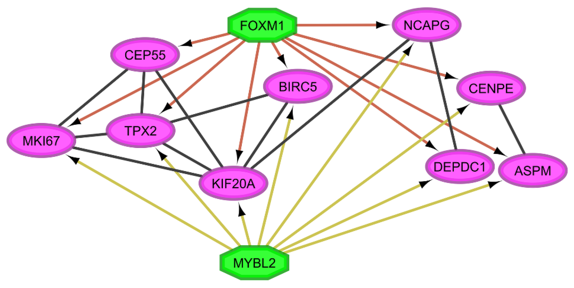 Cimb 45 00029 g003 Cimb 45 00029 g003