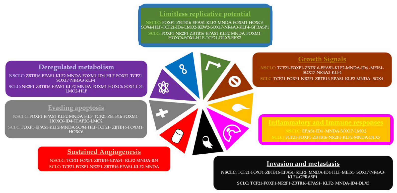 Cimb 45 00029 g005 Cimb 45 00029 g005