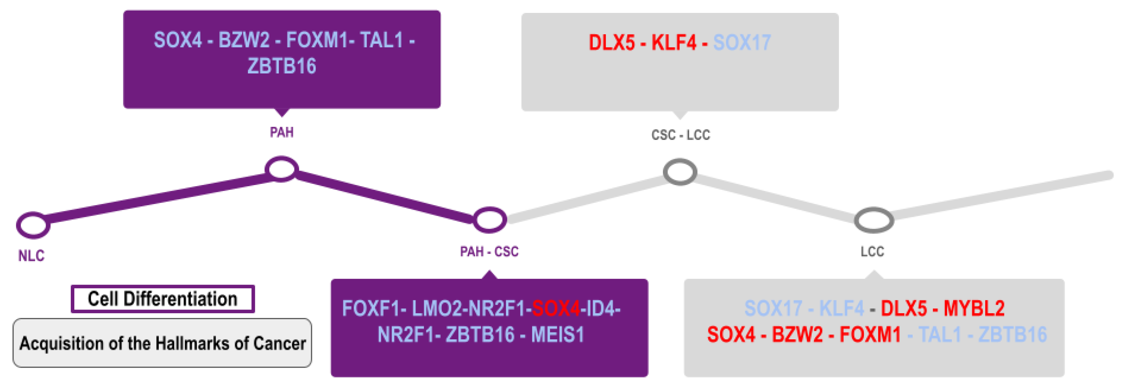 Cimb 45 00029 g011 Cimb 45 00029 g011