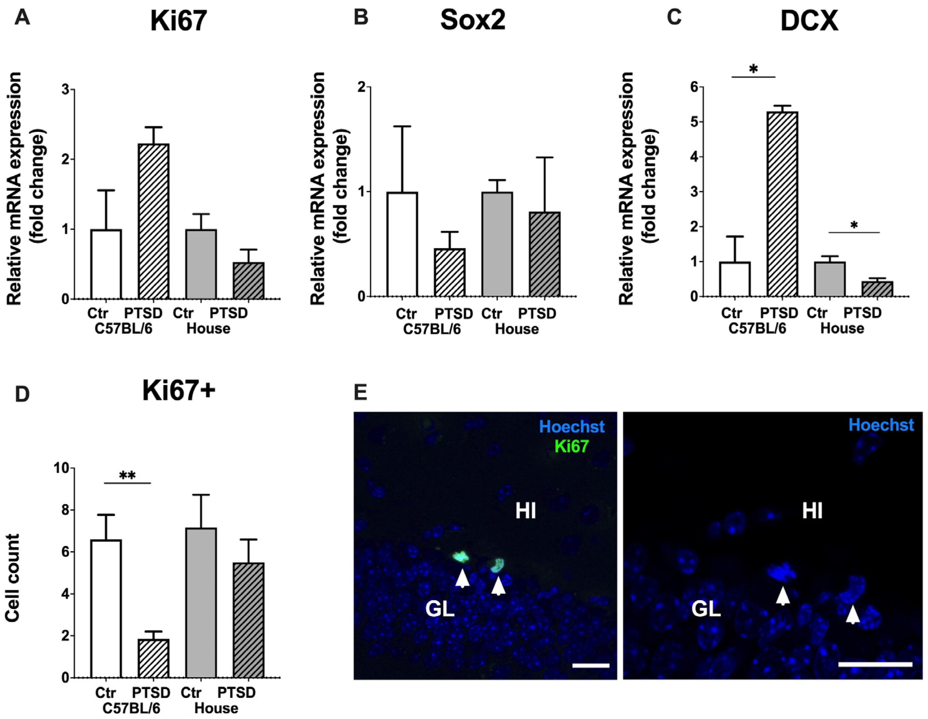 Cimb 45 00035 g004 Cimb 45 00035 g004