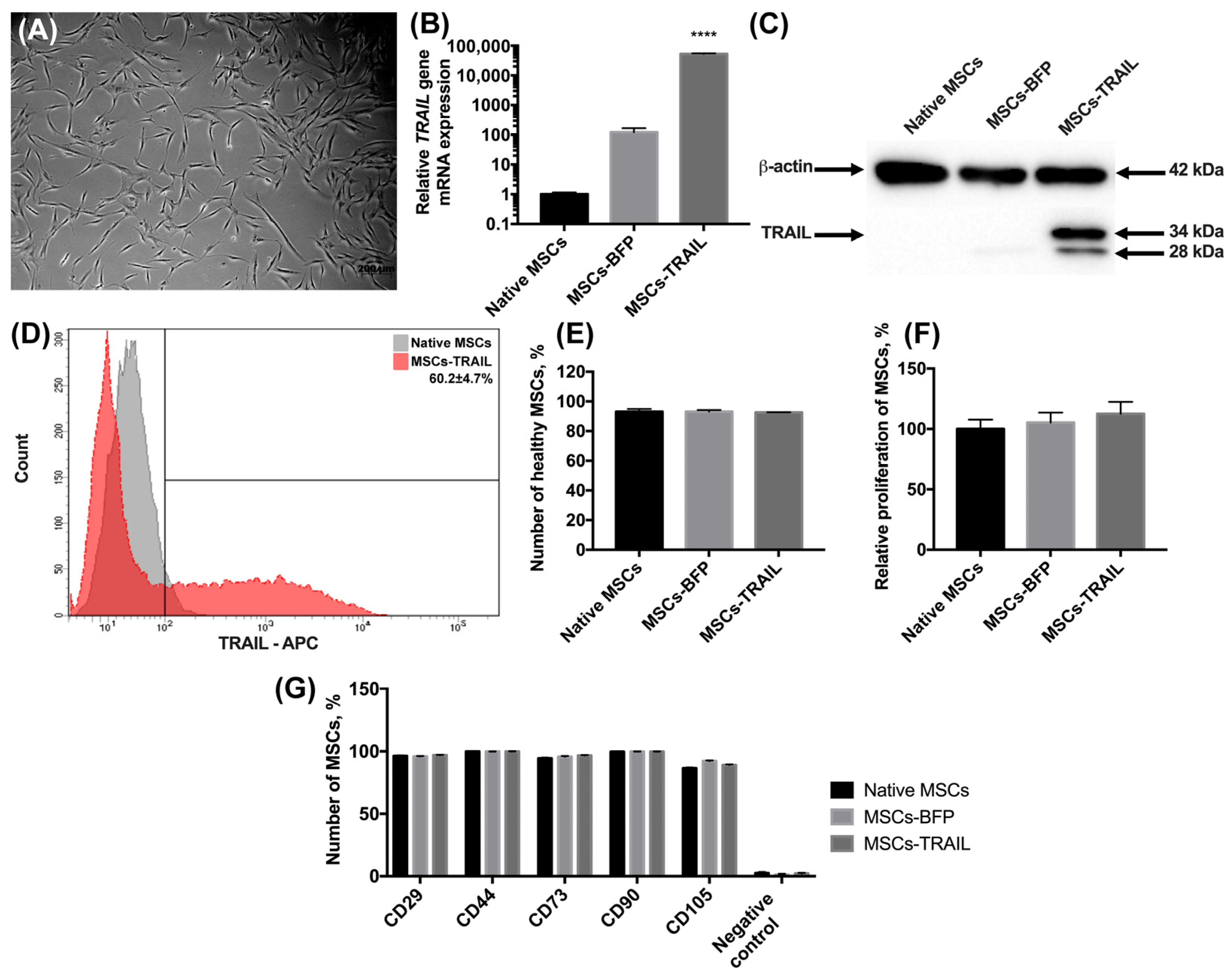 Cimb 45 00038 g001 Cimb 45 00038 g001