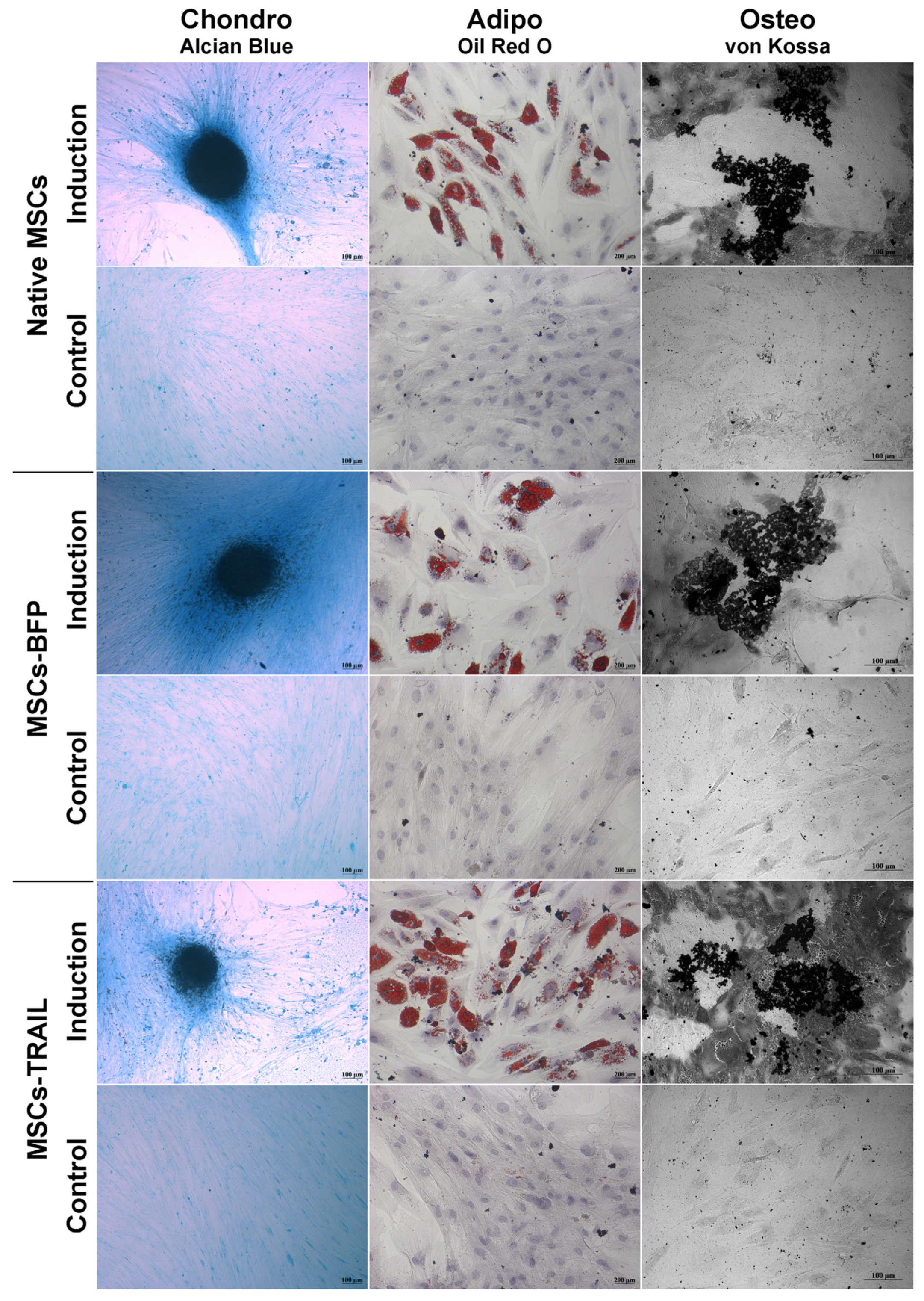 Cimb 45 00038 g002 Cimb 45 00038 g002