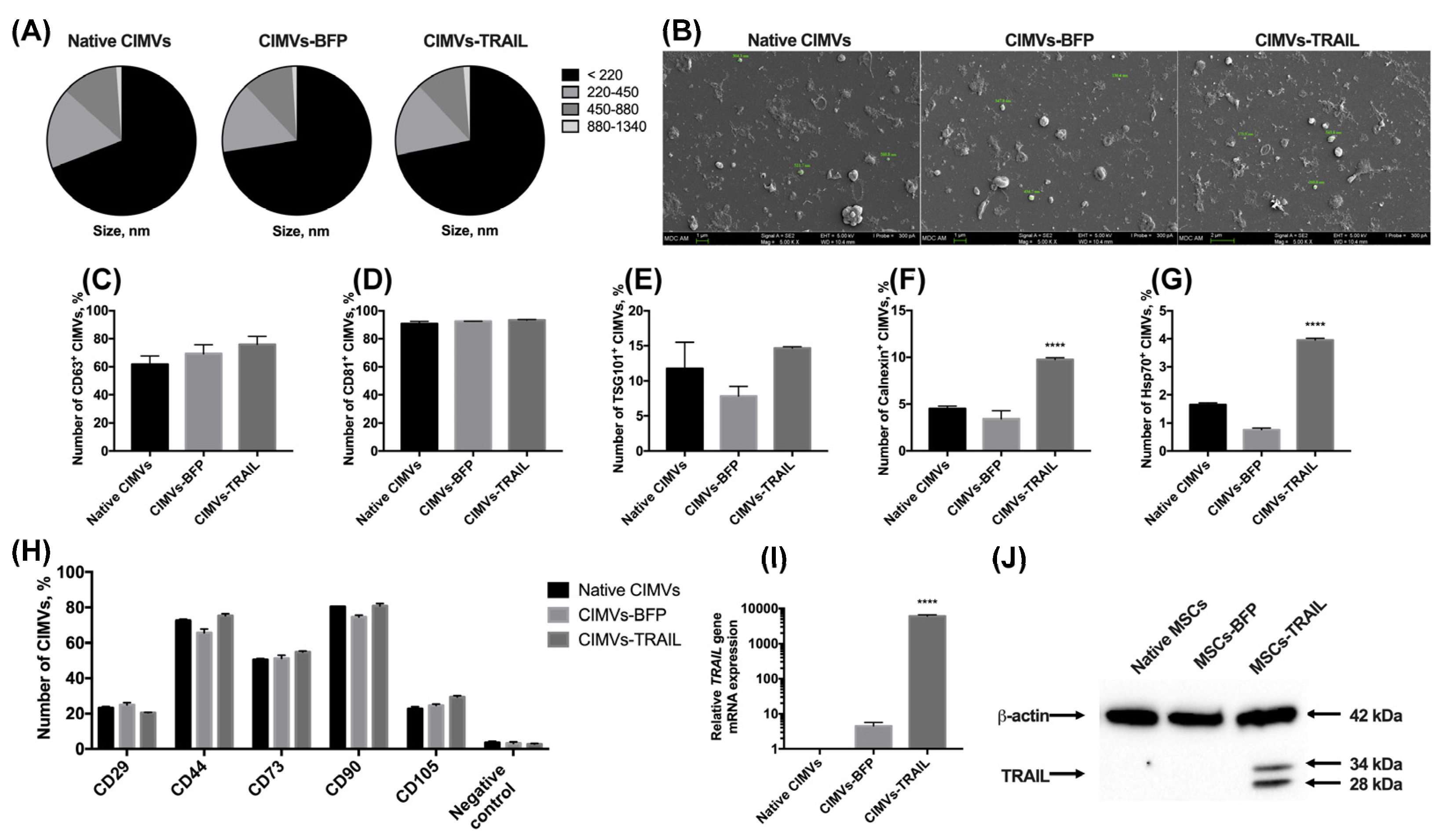 Cimb 45 00038 g003 Cimb 45 00038 g003