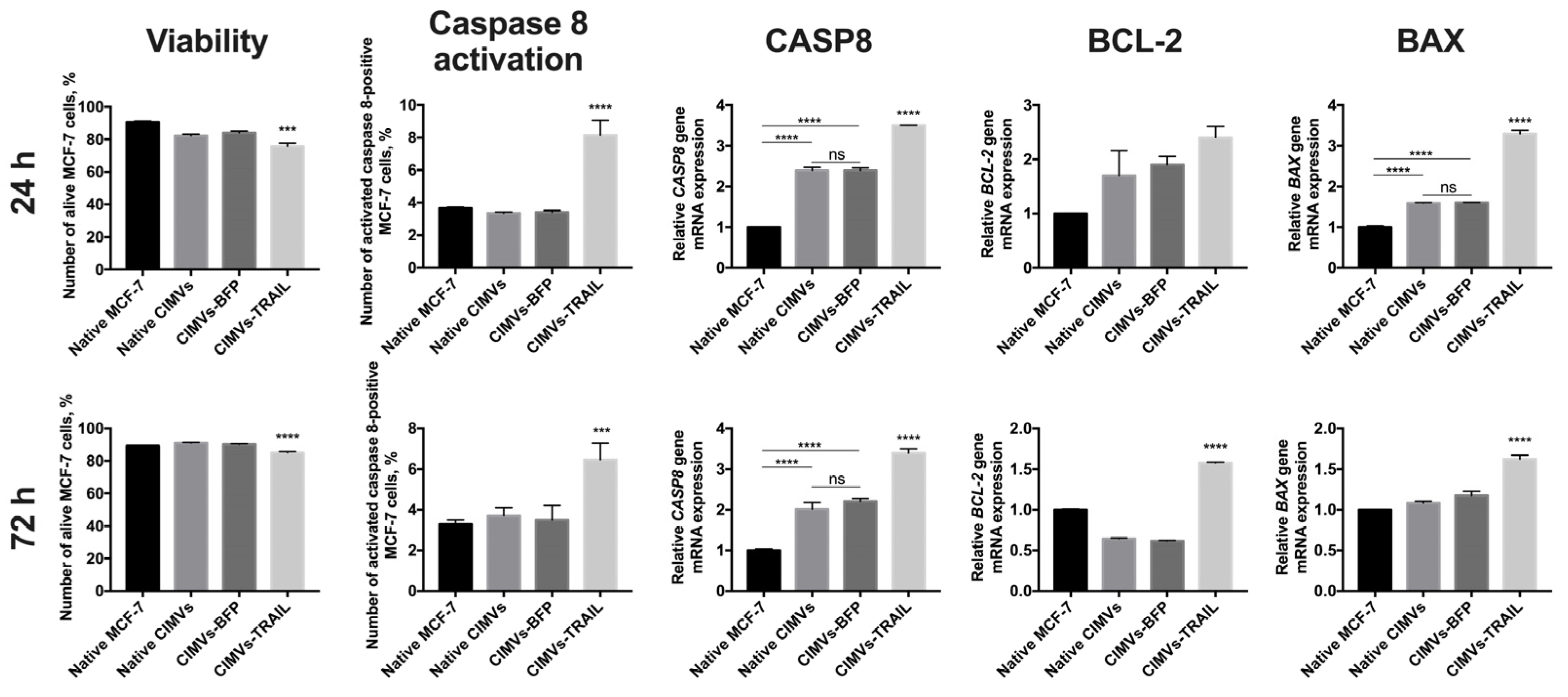 Cimb 45 00038 g004 Cimb 45 00038 g004