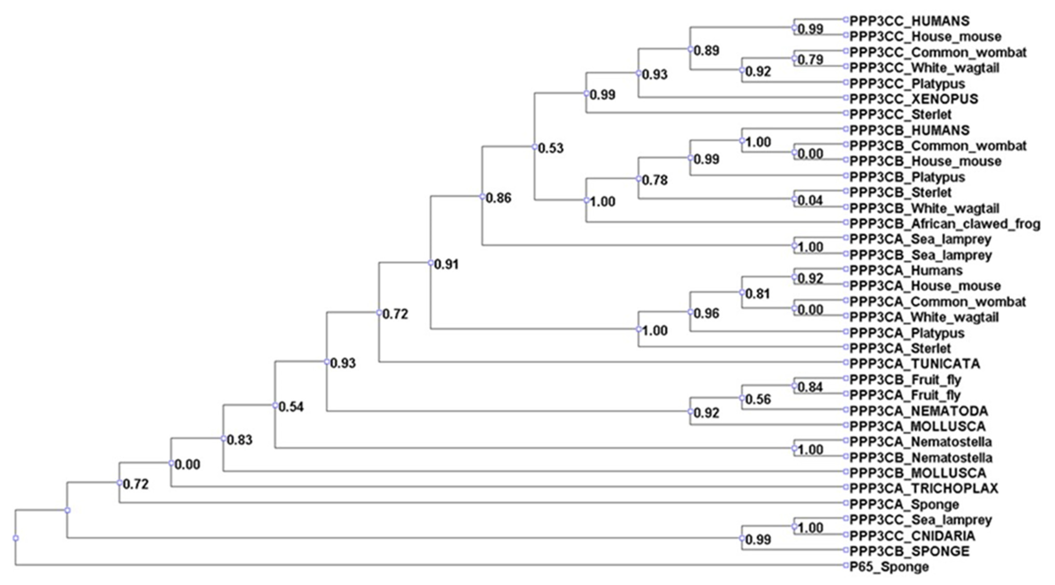 Cimb 45 00042 g004 Cimb 45 00042 g004