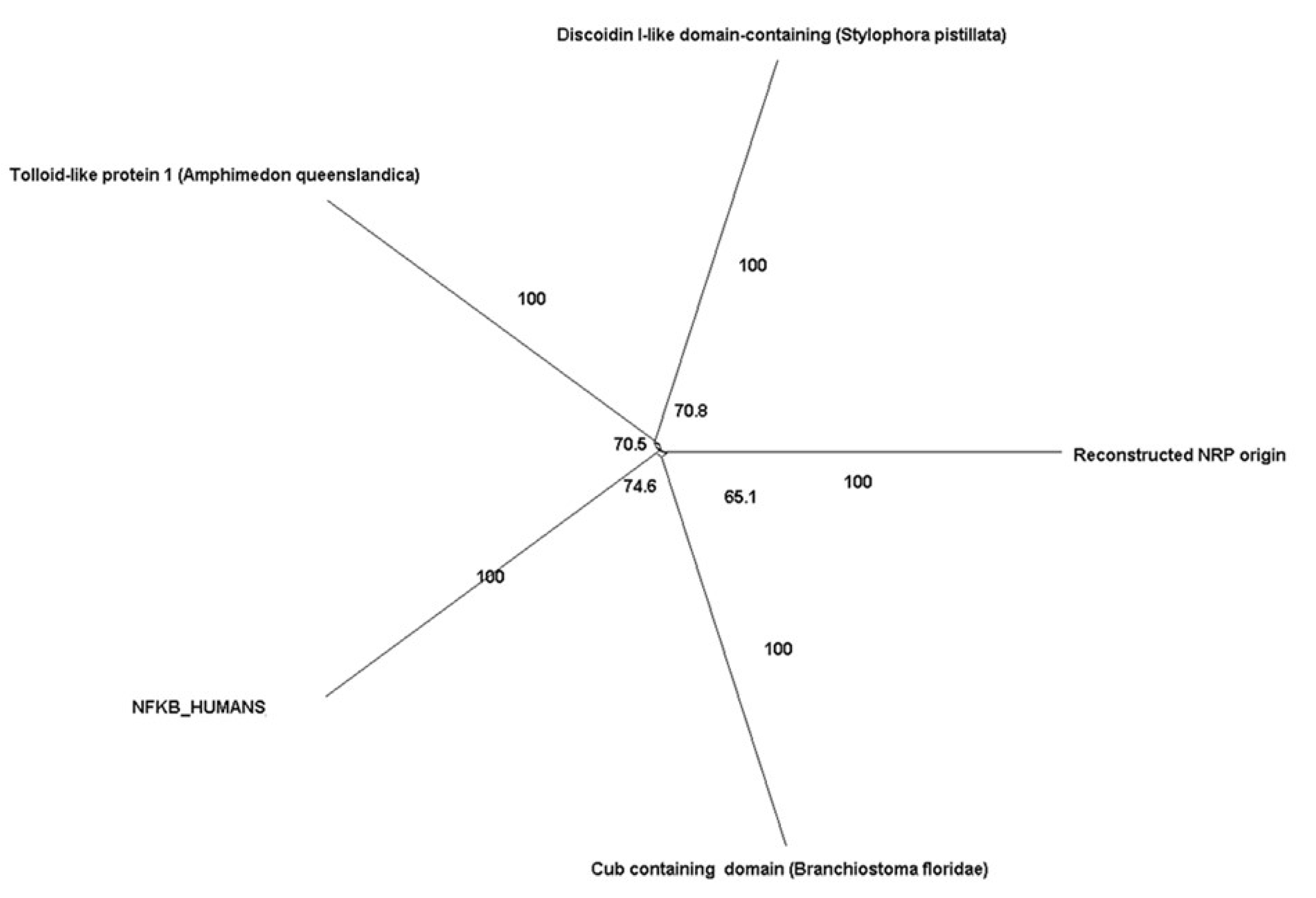 Cimb 45 00042 g005 Cimb 45 00042 g005
