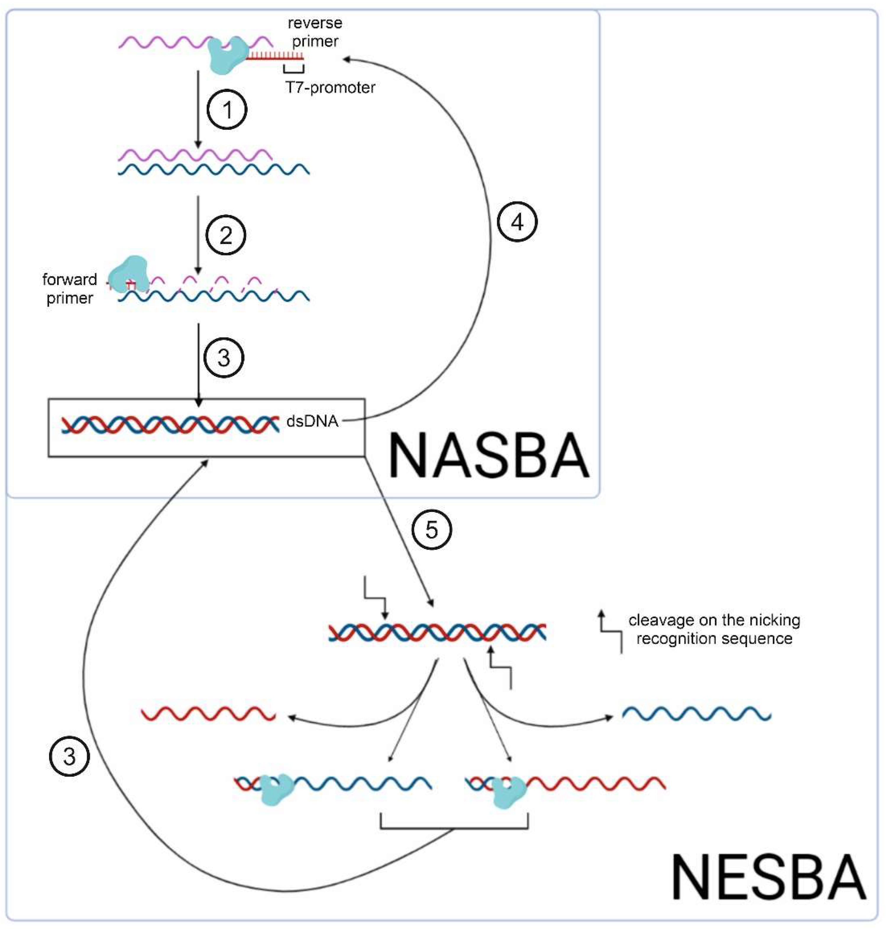Cimb 45 00043 g002 Cimb 45 00043 g002