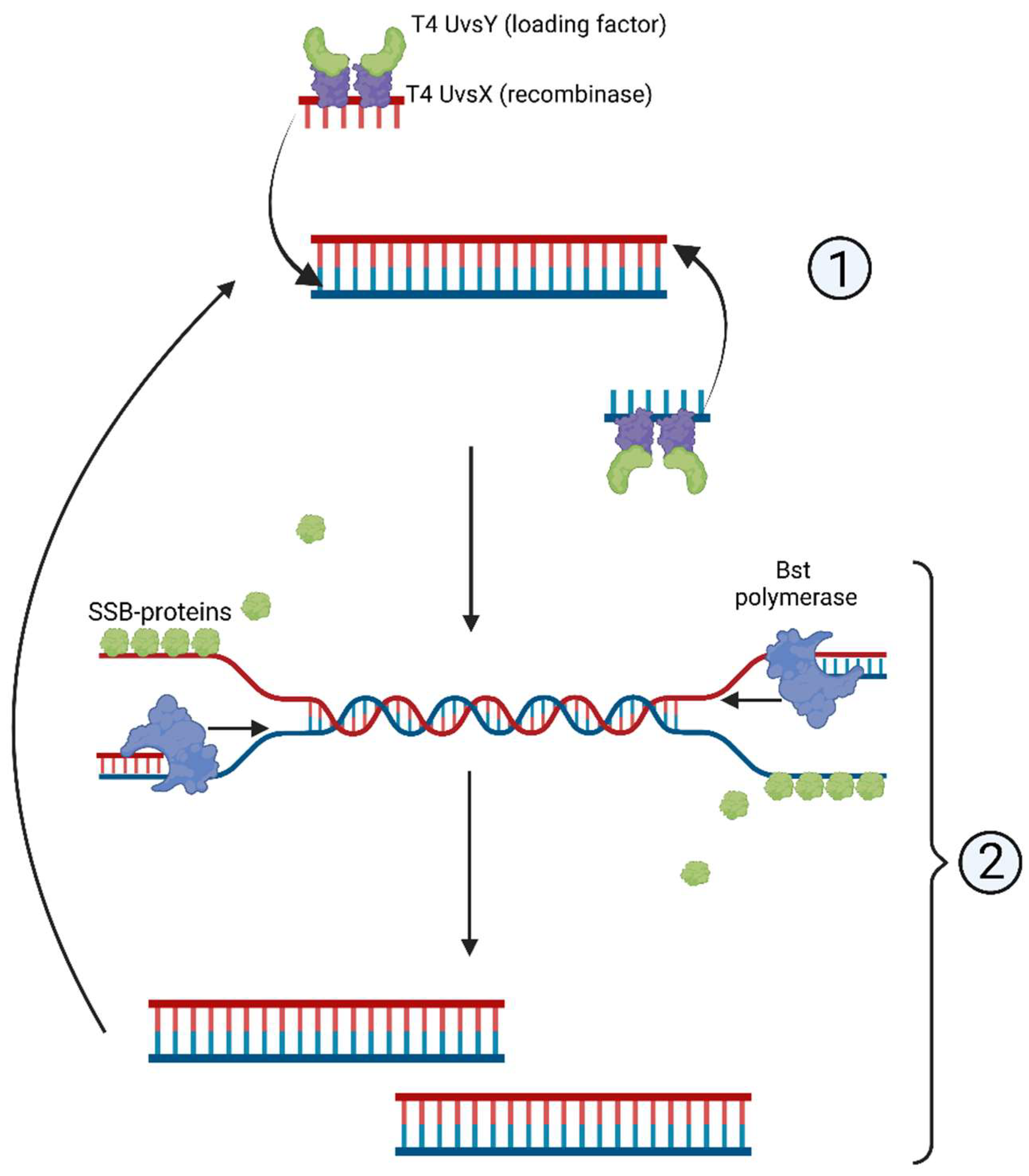 Cimb 45 00043 g003 Cimb 45 00043 g003