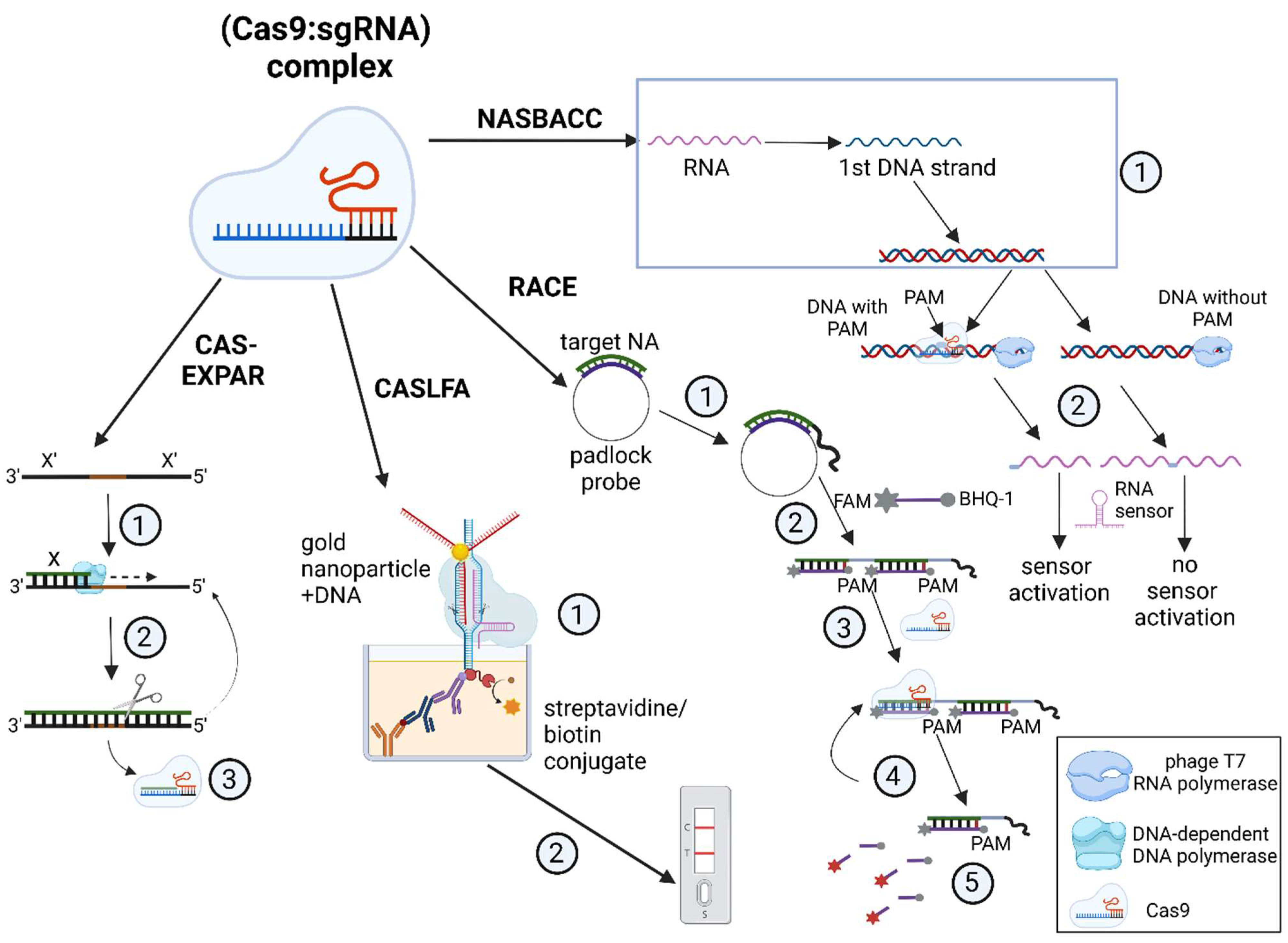 Cimb 45 00043 g005 Cimb 45 00043 g005