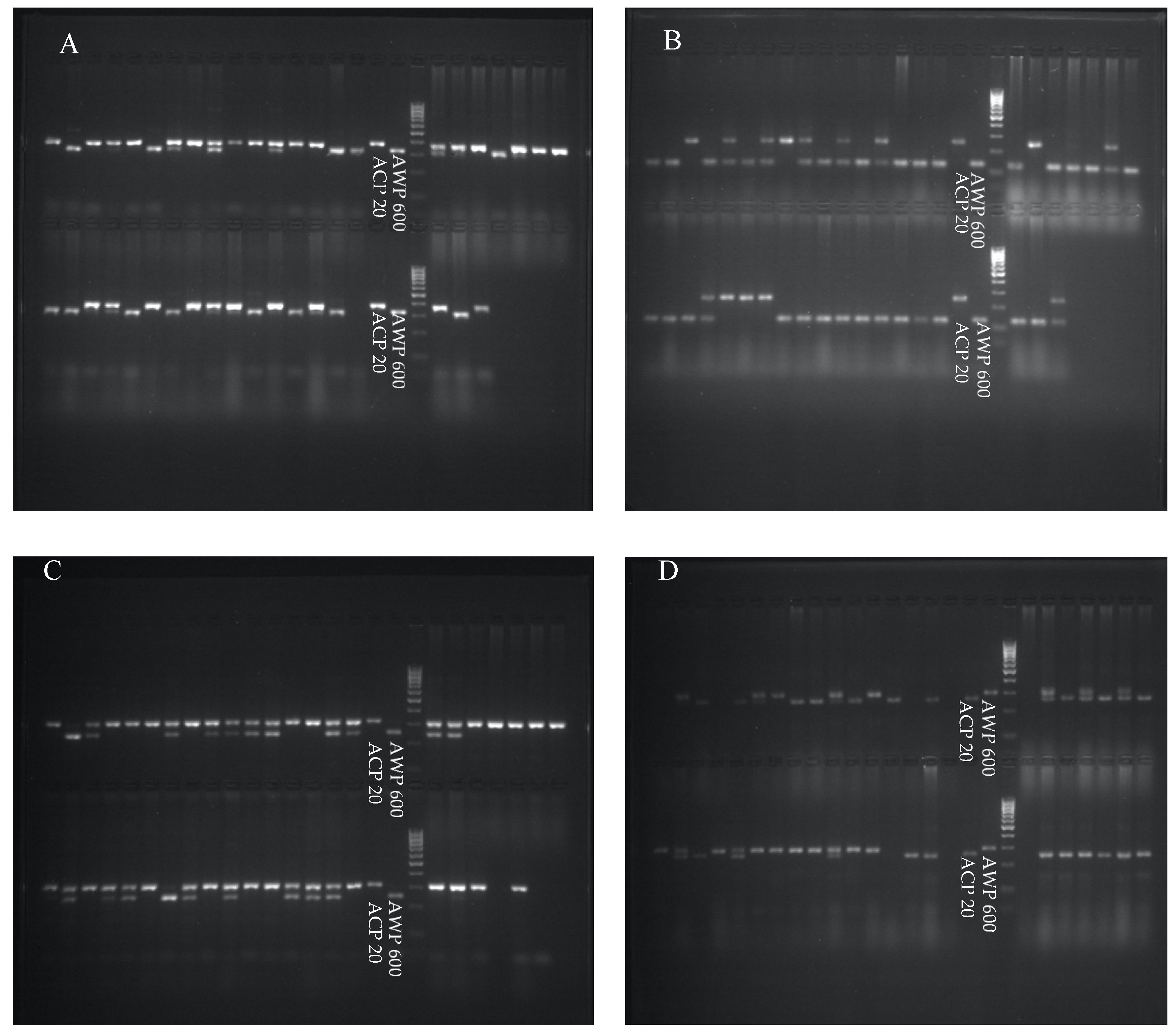 Cimb 45 00044 g002 Cimb 45 00044 g002