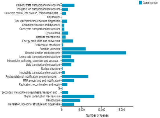 Transcriptomic Analysis of Yunwu Tribute Tea Leaves under