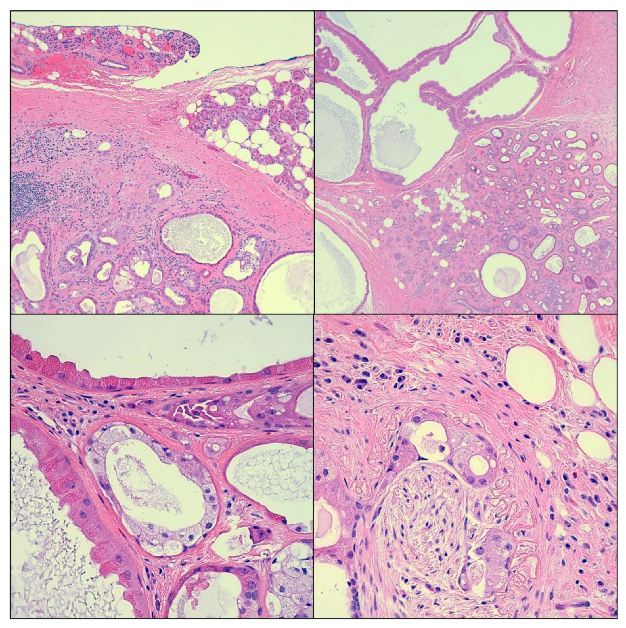 Cimb 45 00061 g002 Cimb 45 00061 g002