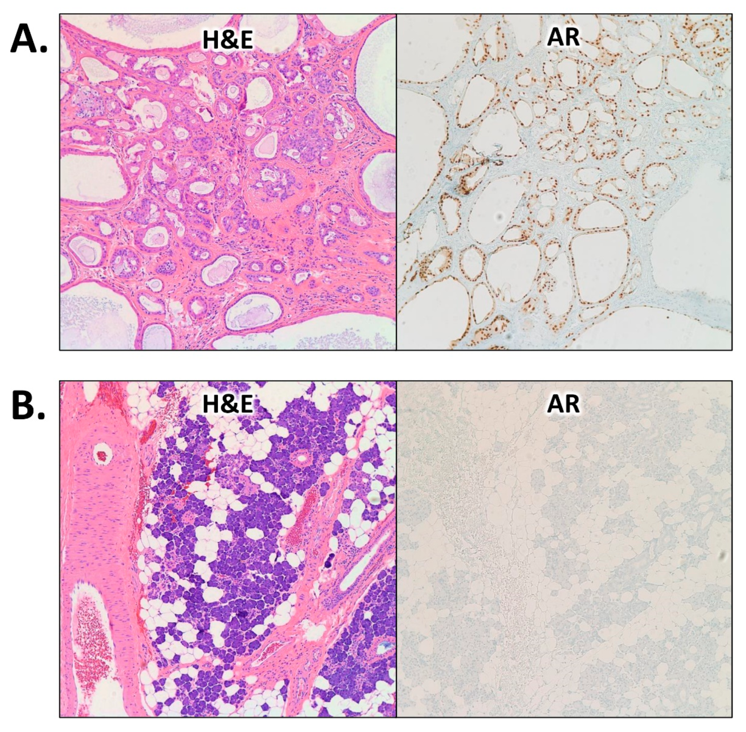 Cimb 45 00061 g003 Cimb 45 00061 g003