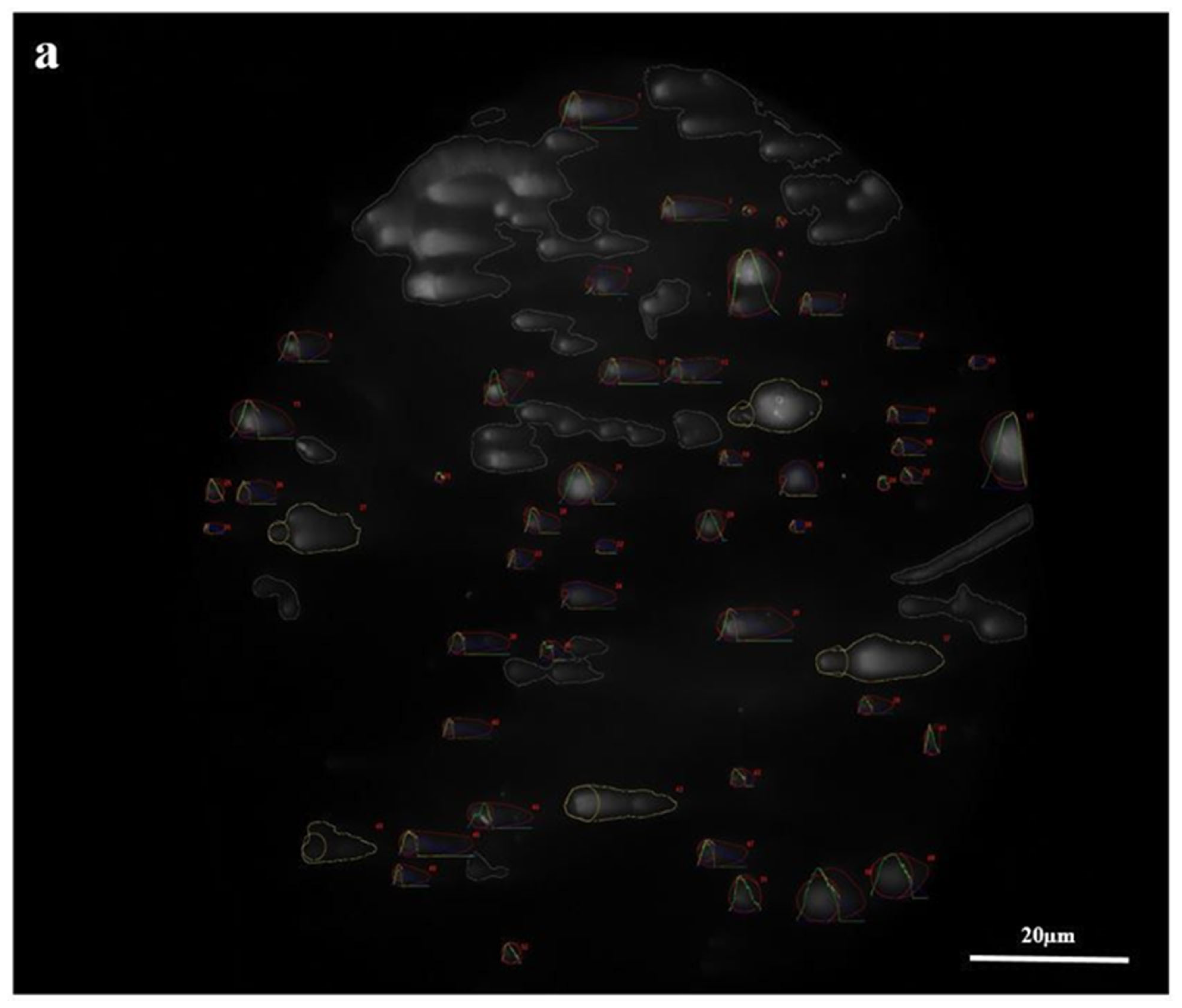 Cimb 45 00062 g003a Cimb 45 00062 g003a