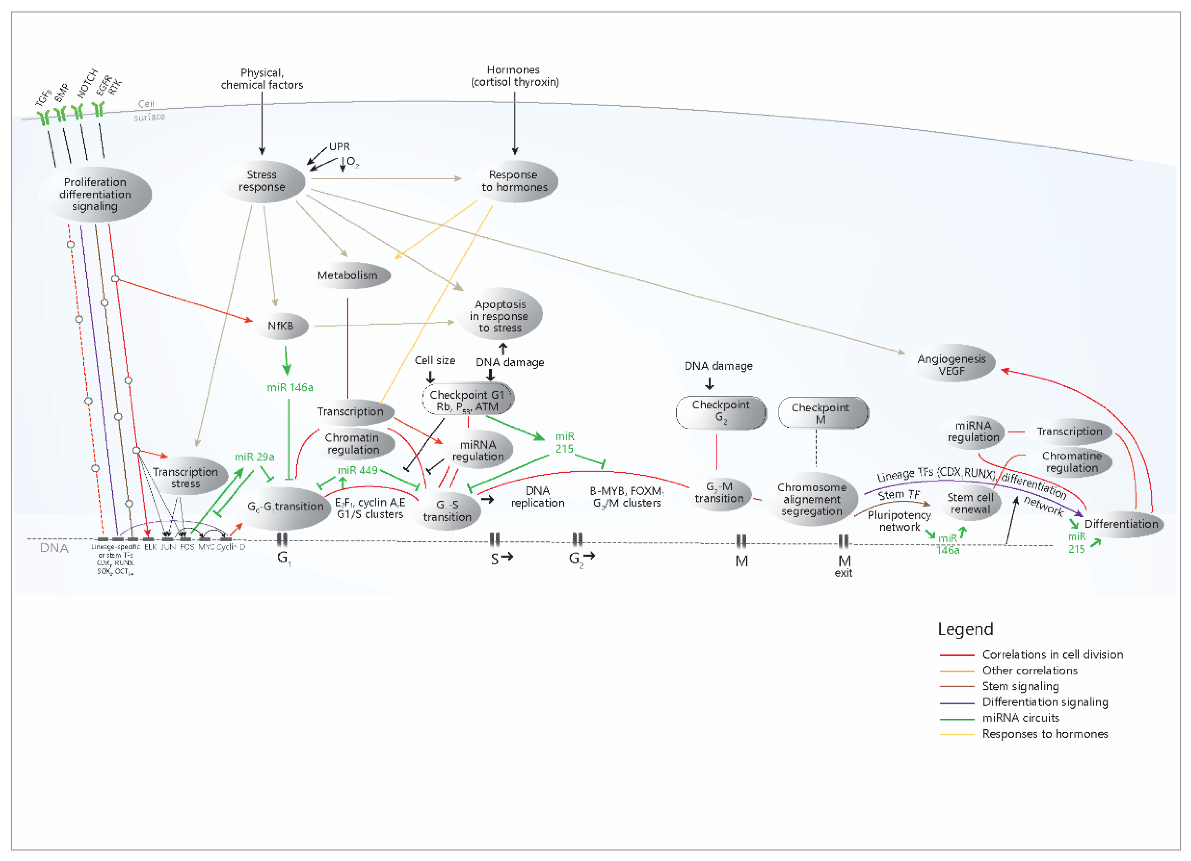 Cimb 45 00063 g006 Cimb 45 00063 g006