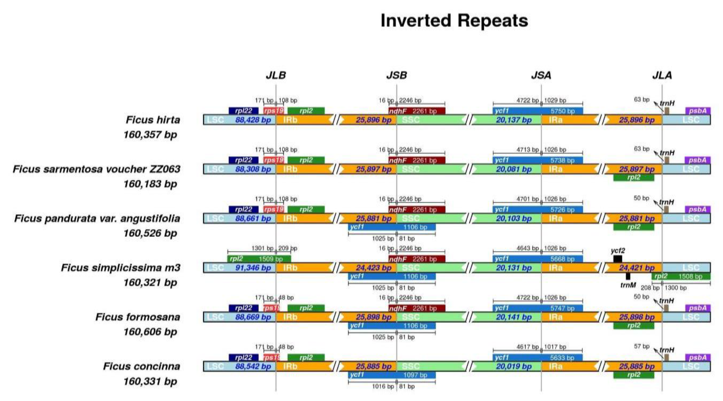Cimb 45 00067 g005 Cimb 45 00067 g005