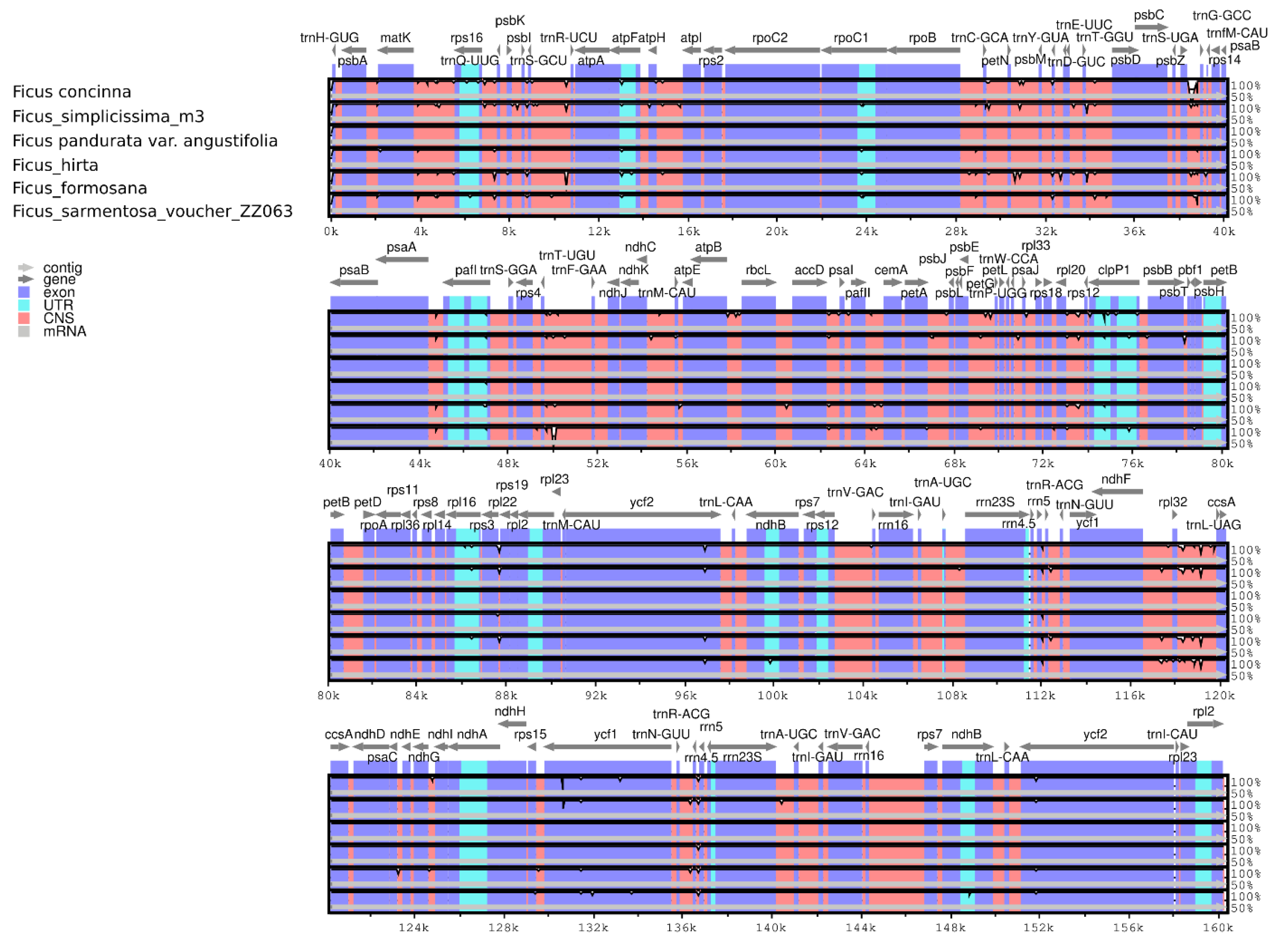 Cimb 45 00067 g006 Cimb 45 00067 g006