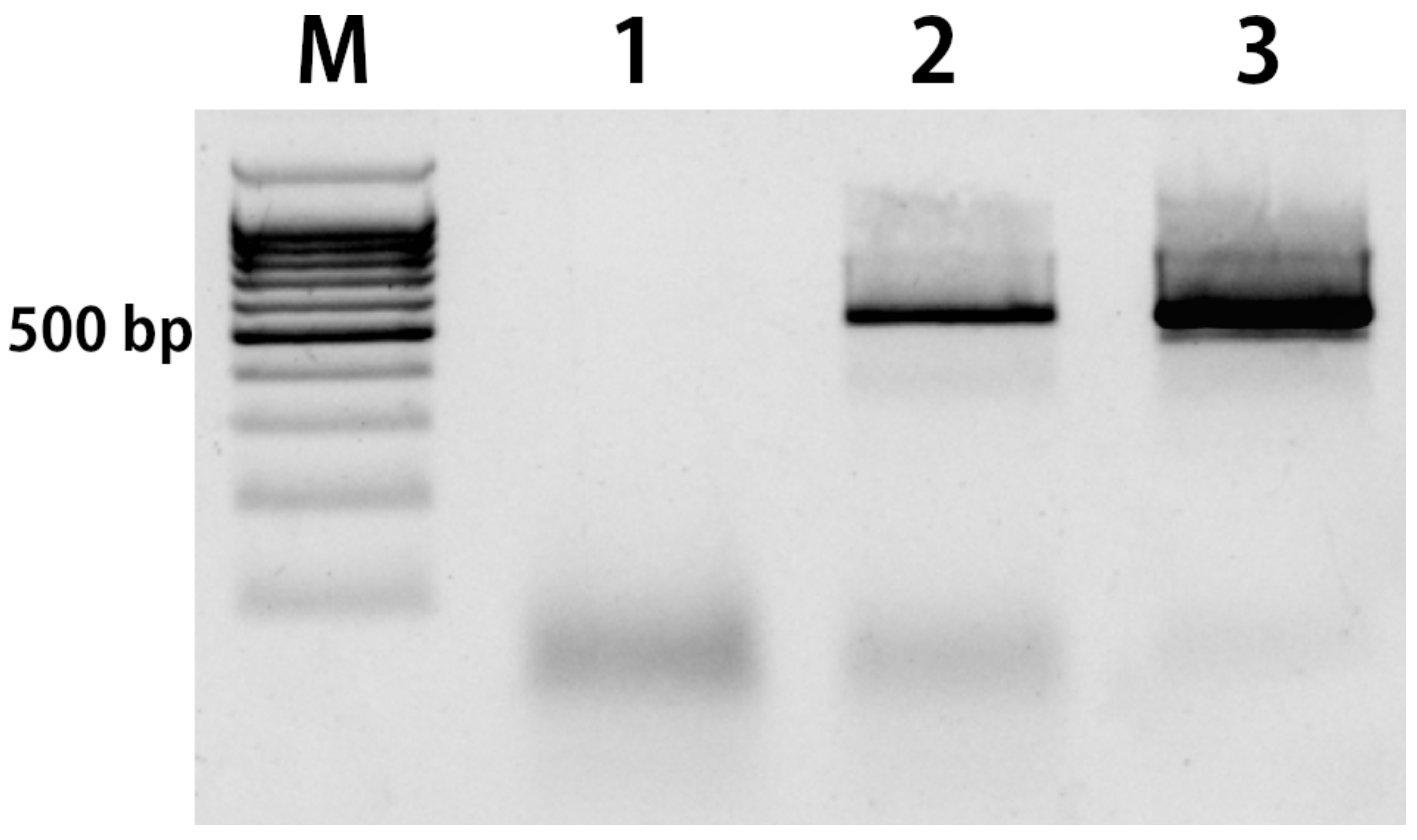 Cimb 45 00070 g001 Cimb 45 00070 g001