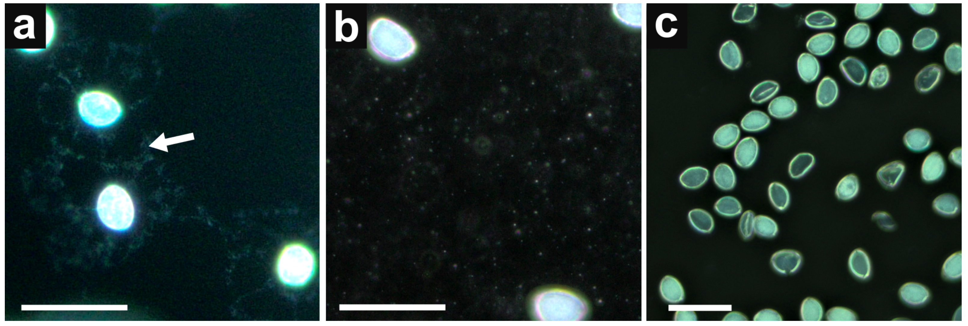 Cimb 45 00070 g002 Cimb 45 00070 g002