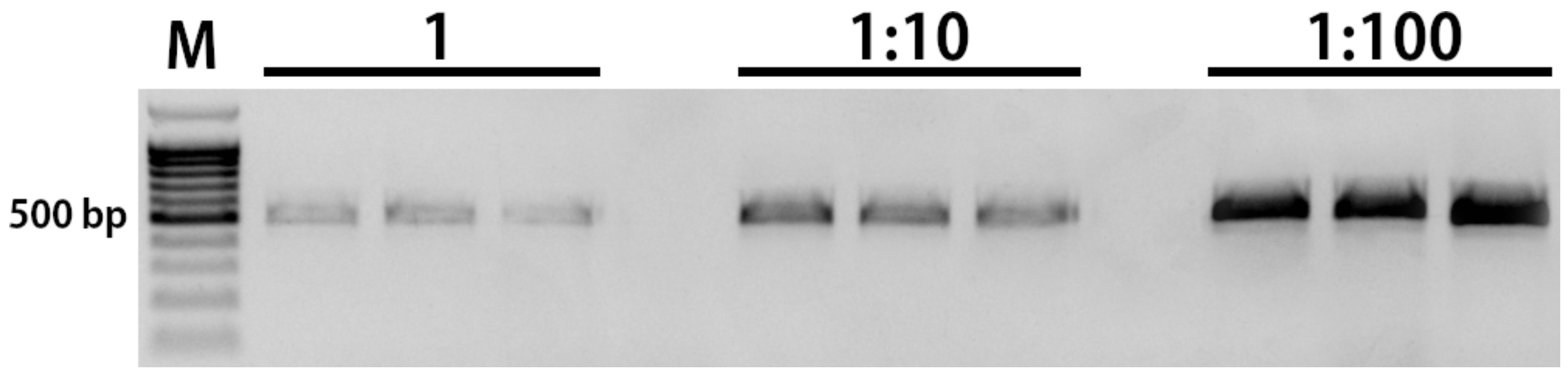 Cimb 45 00070 g003 Cimb 45 00070 g003