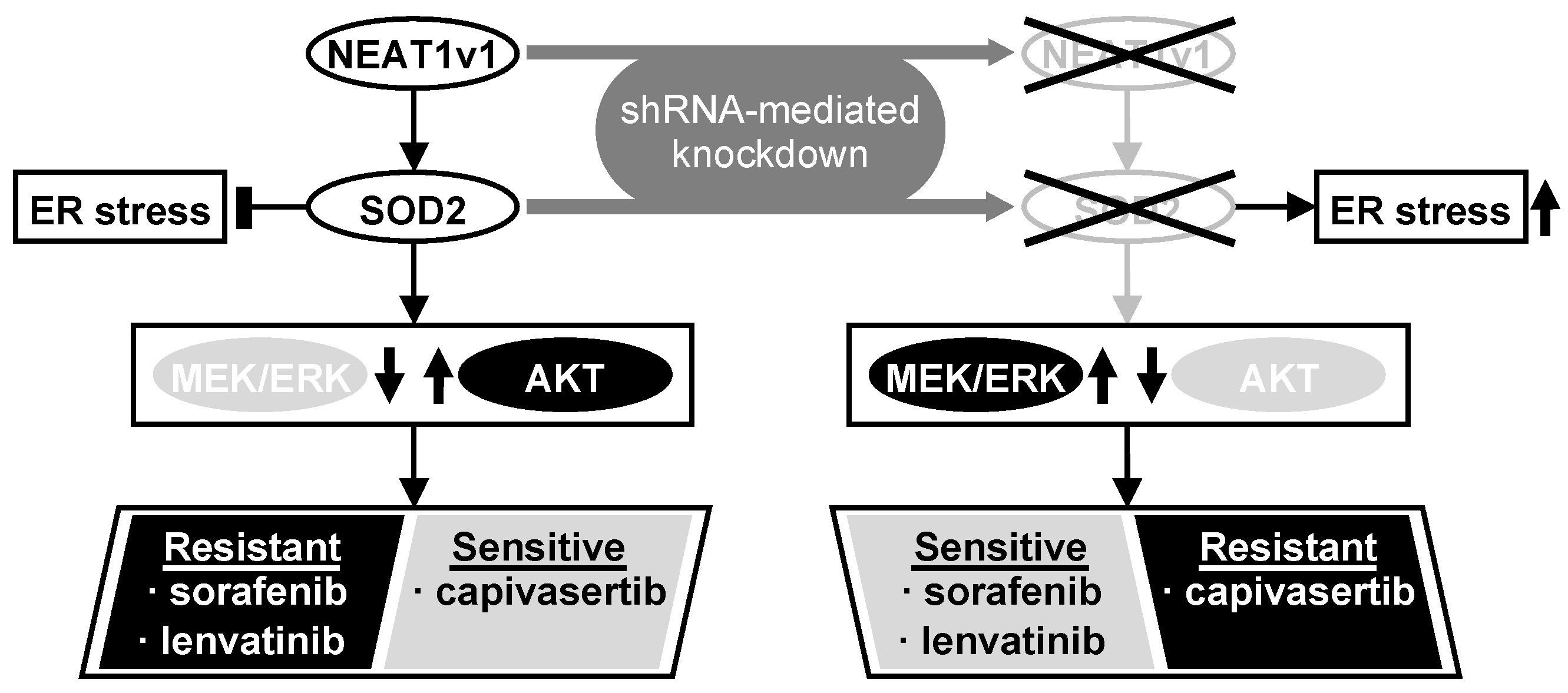 Cimb 45 00071 g006 Cimb 45 00071 g006