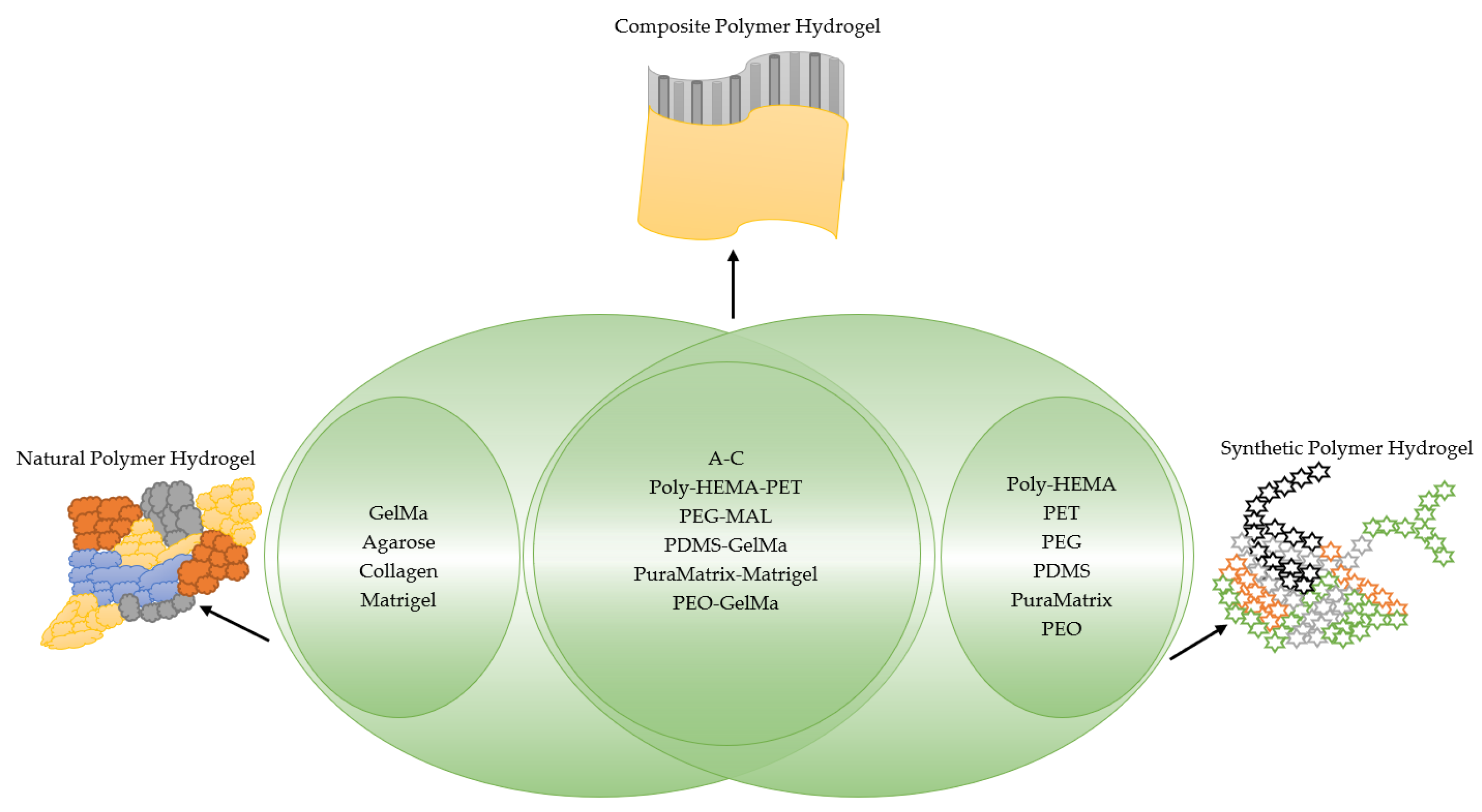 Cimb 45 00073 g001 Cimb 45 00073 g001