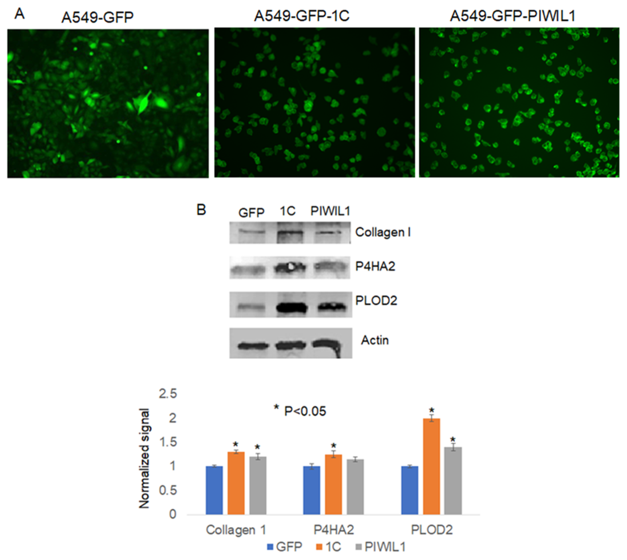 Cimb 45 00074 g006 Cimb 45 00074 g006