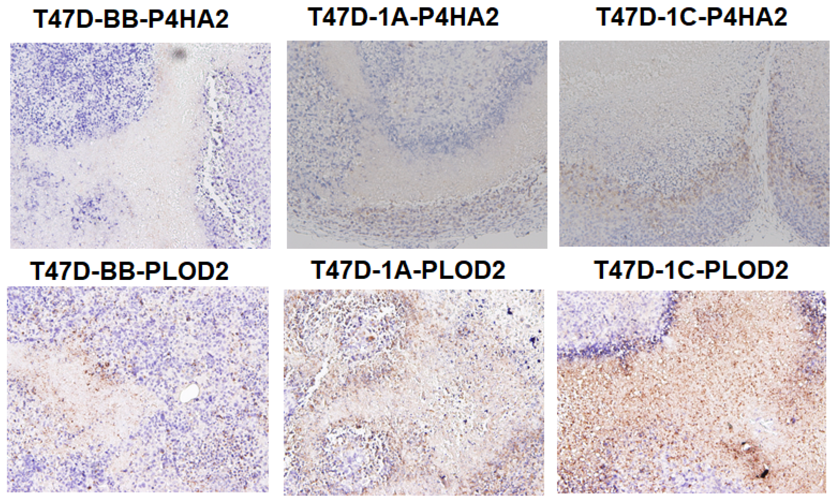 Cimb 45 00074 g008 Cimb 45 00074 g008