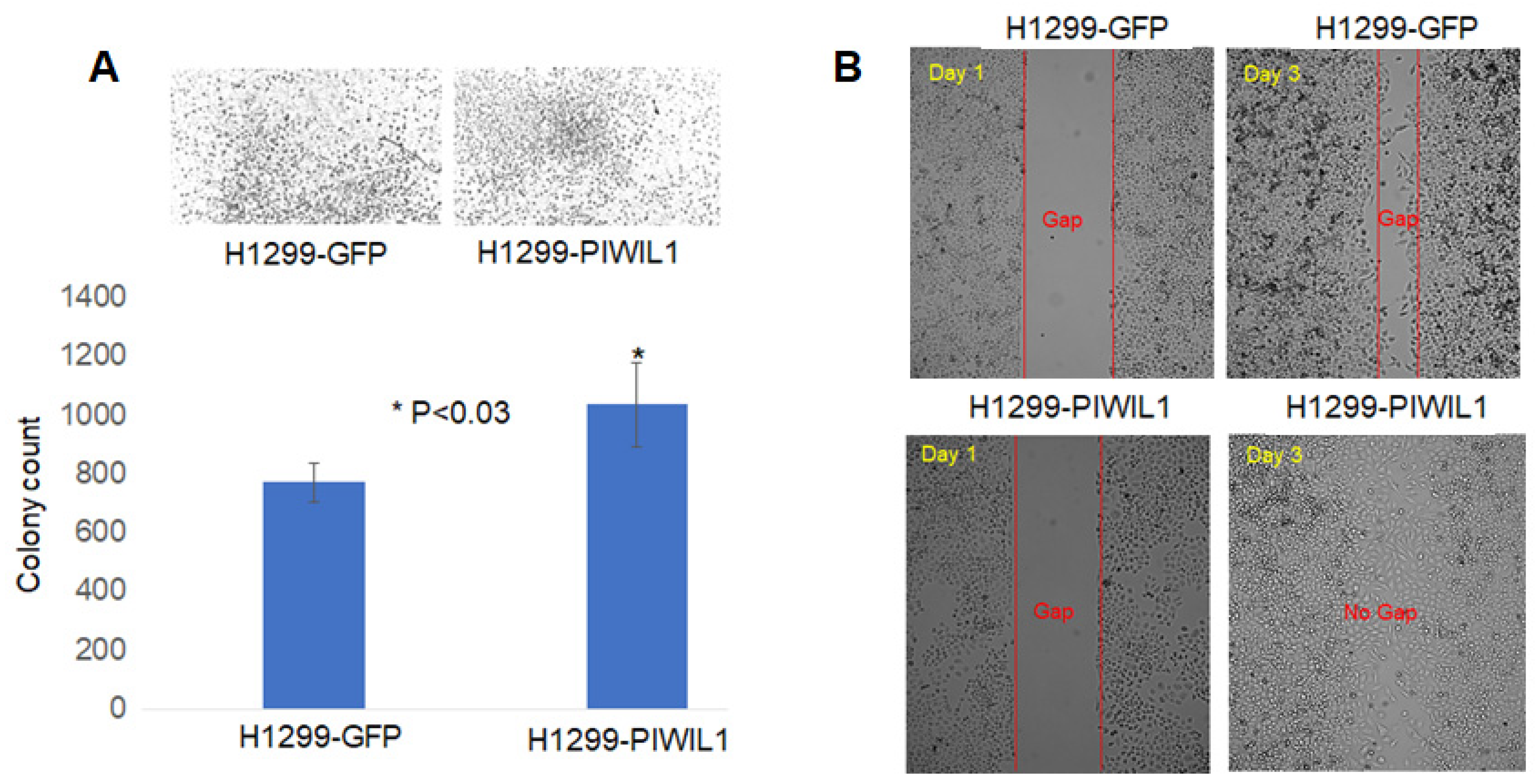 Cimb 45 00074 g009 Cimb 45 00074 g009