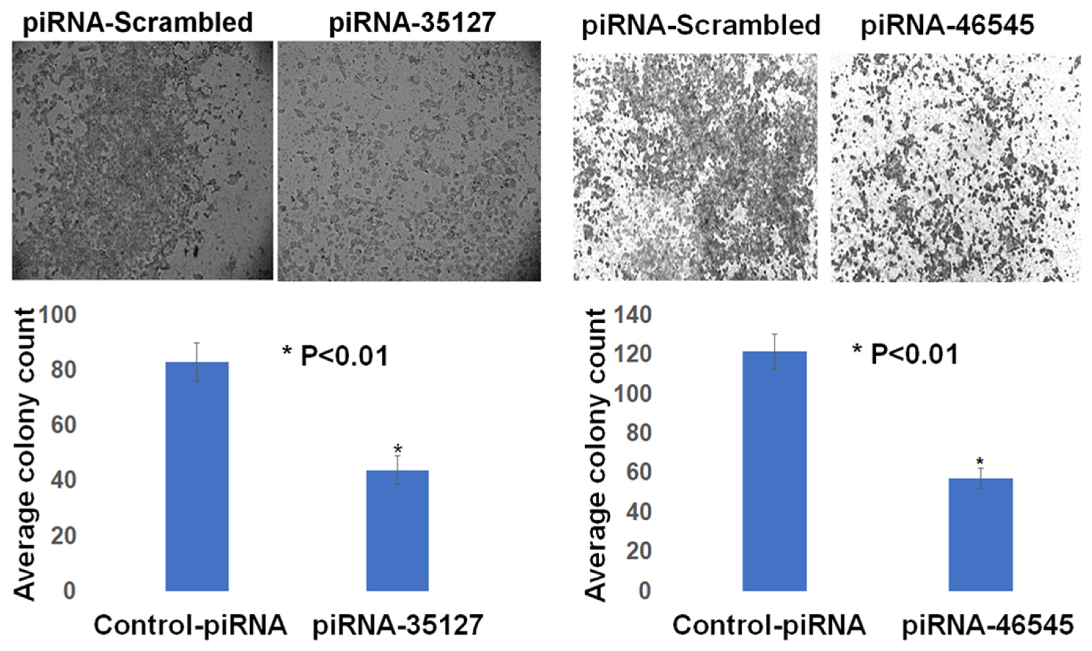 Cimb 45 00074 g010 Cimb 45 00074 g010