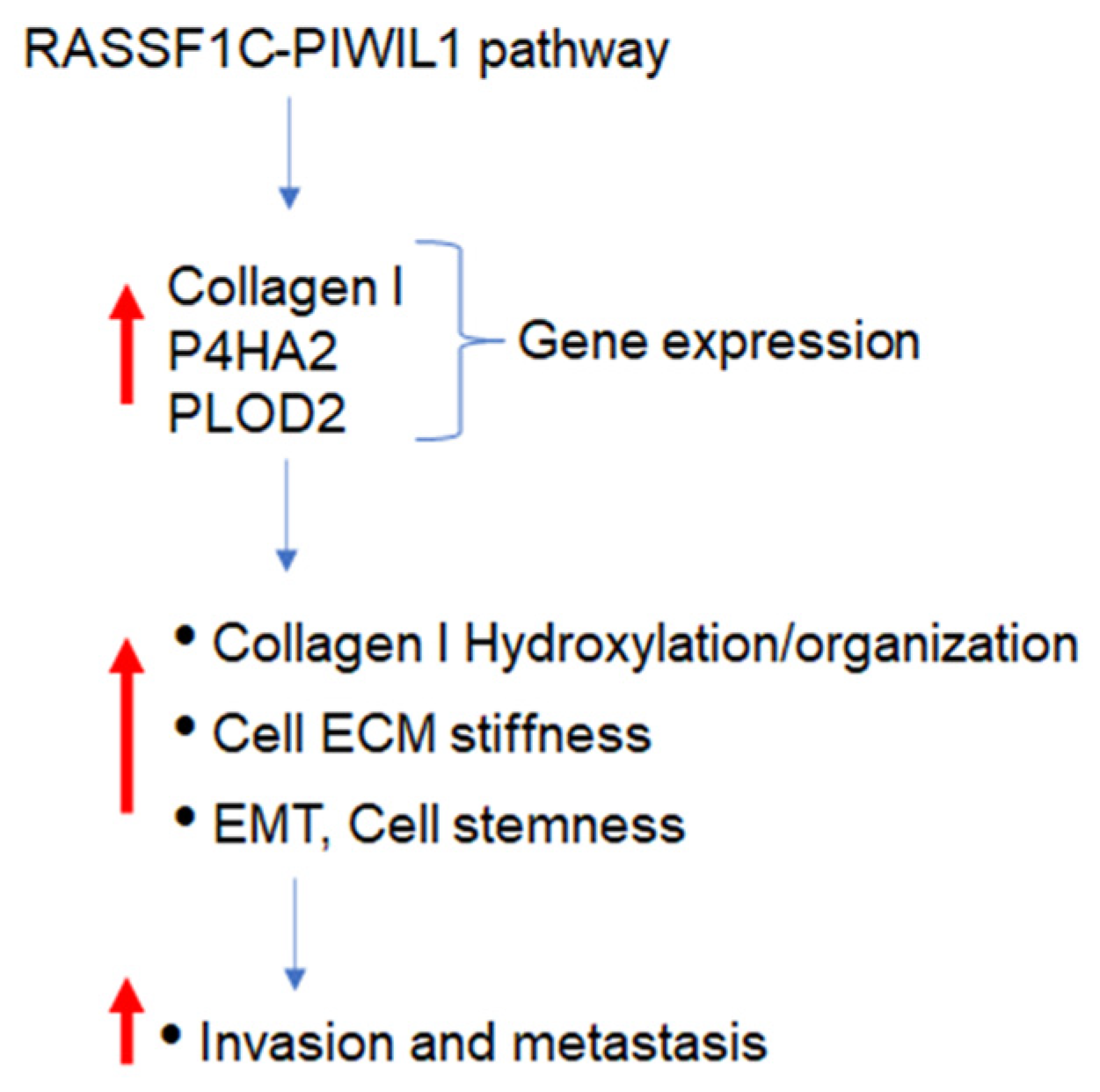 Cimb 45 00074 g012 Cimb 45 00074 g012