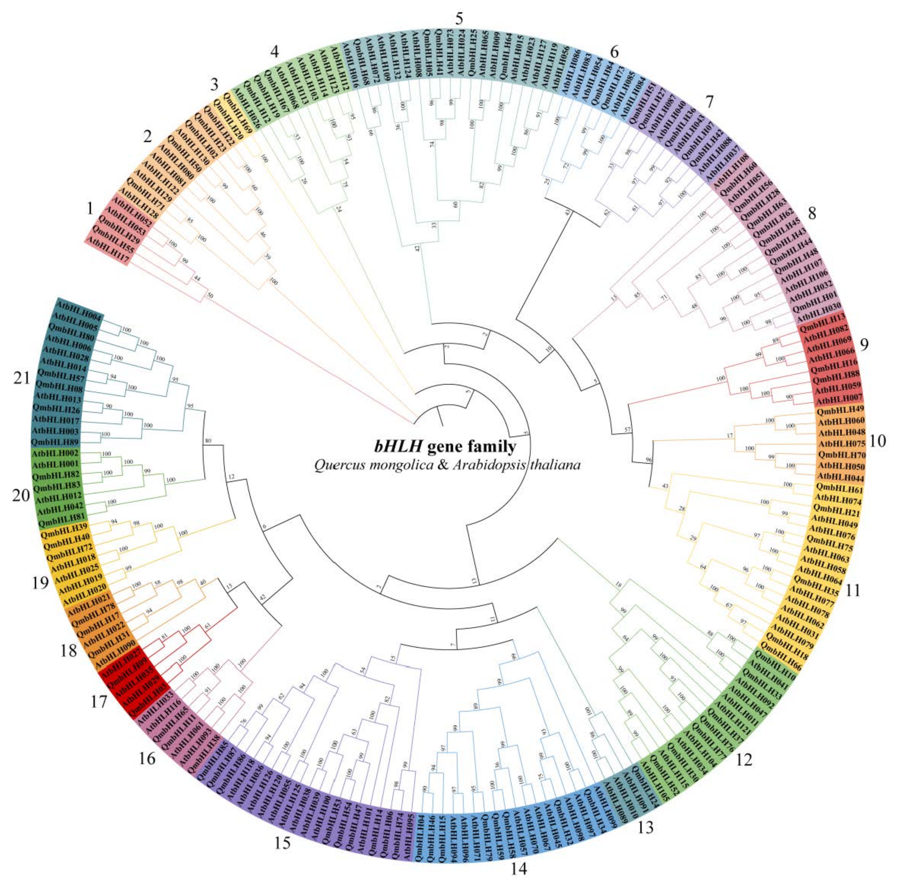 Cimb 45 00075 g001 Cimb 45 00075 g001