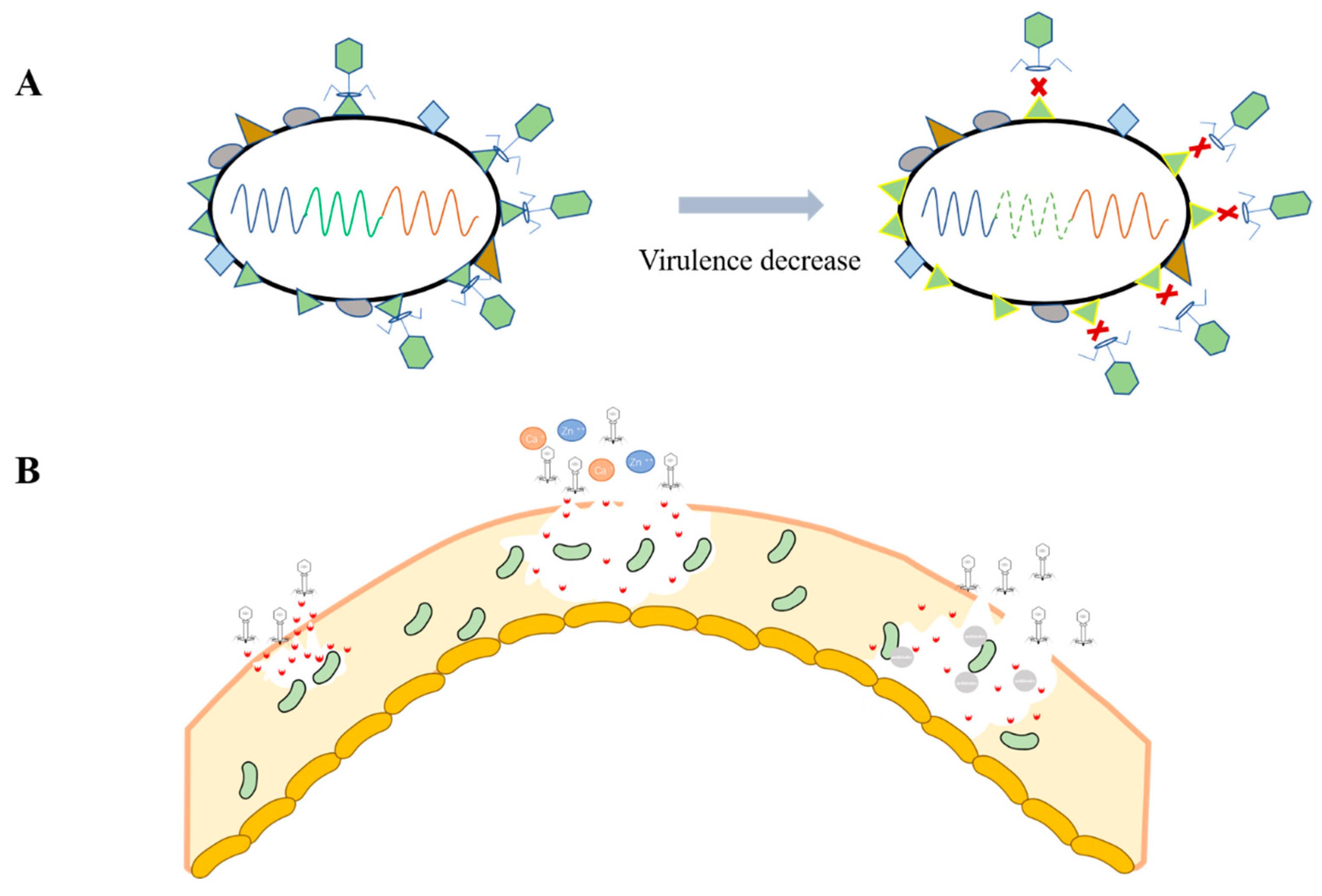 Cimb 45 00076 g002 Cimb 45 00076 g002