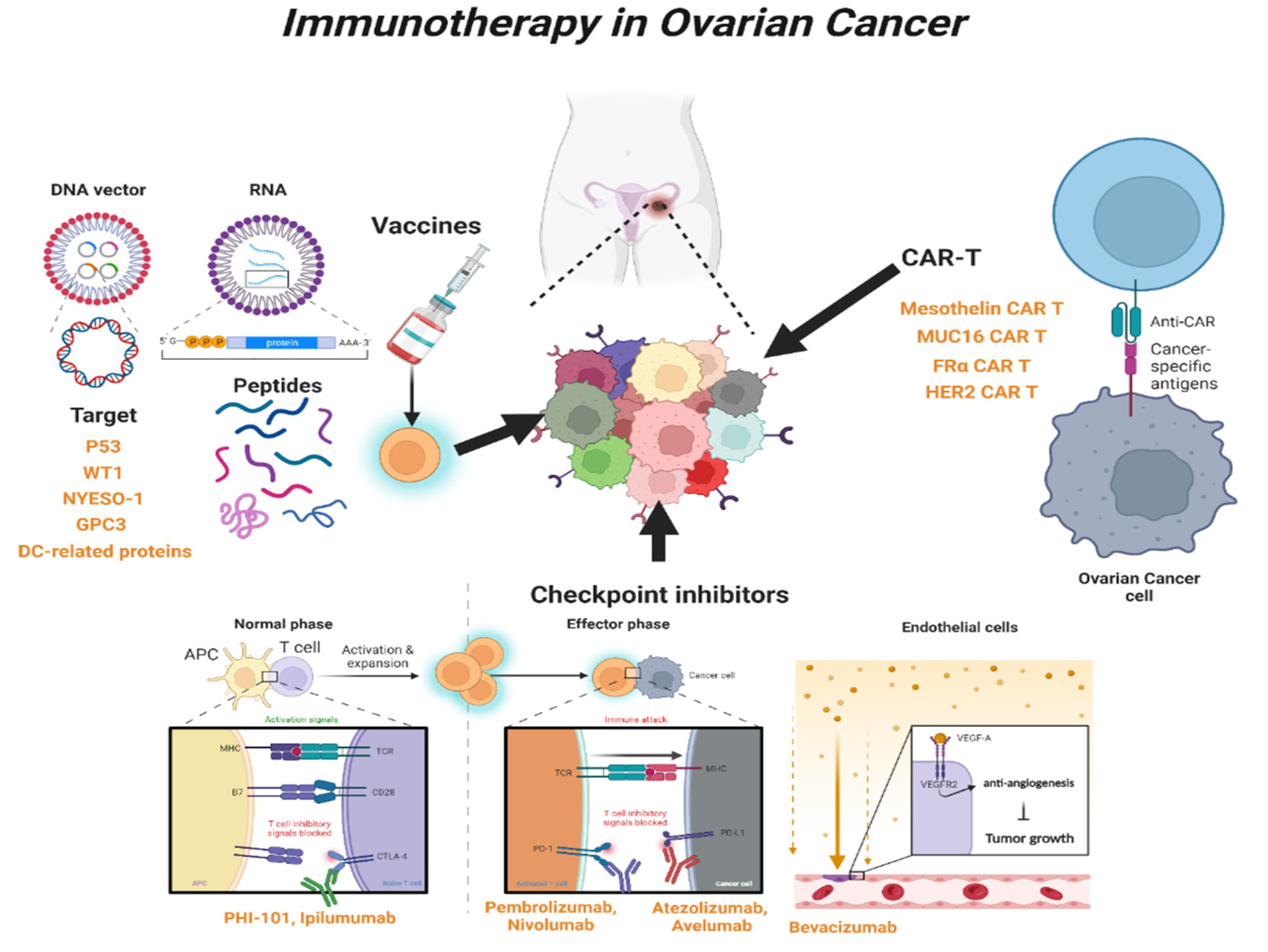Cimb 45 00081 g002 Cimb 45 00081 g002