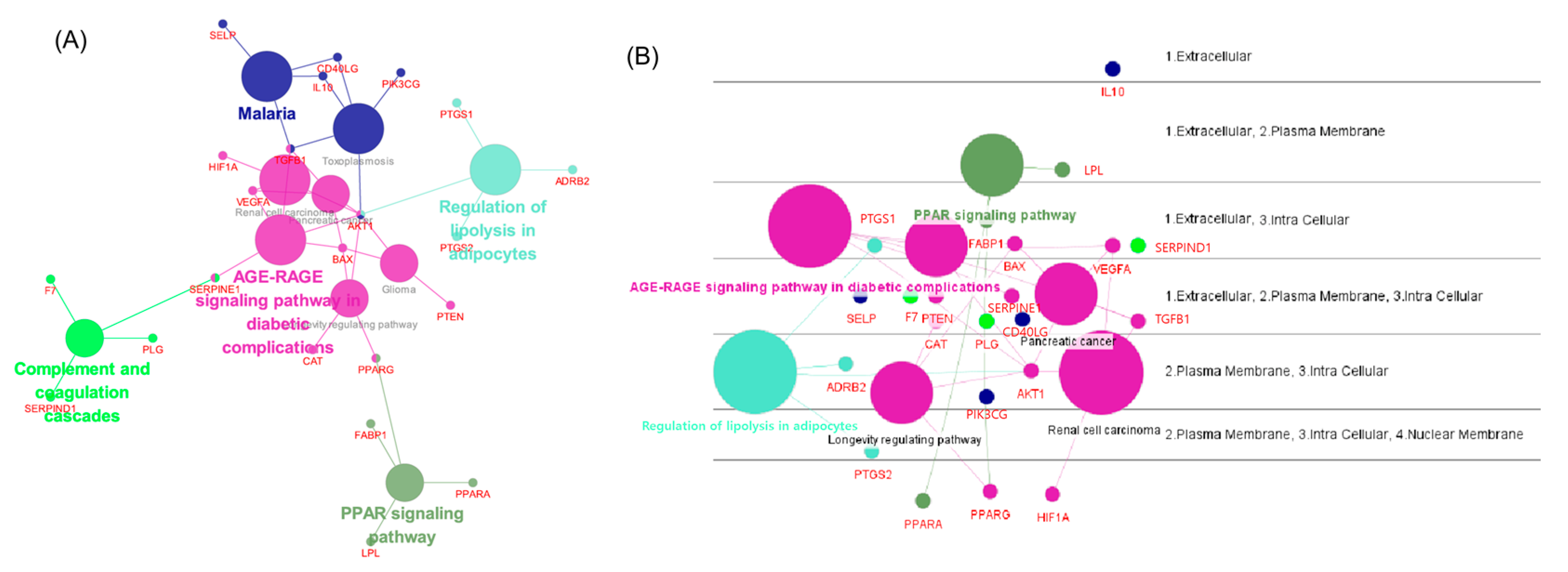 Cimb 45 00086 g004 Cimb 45 00086 g004