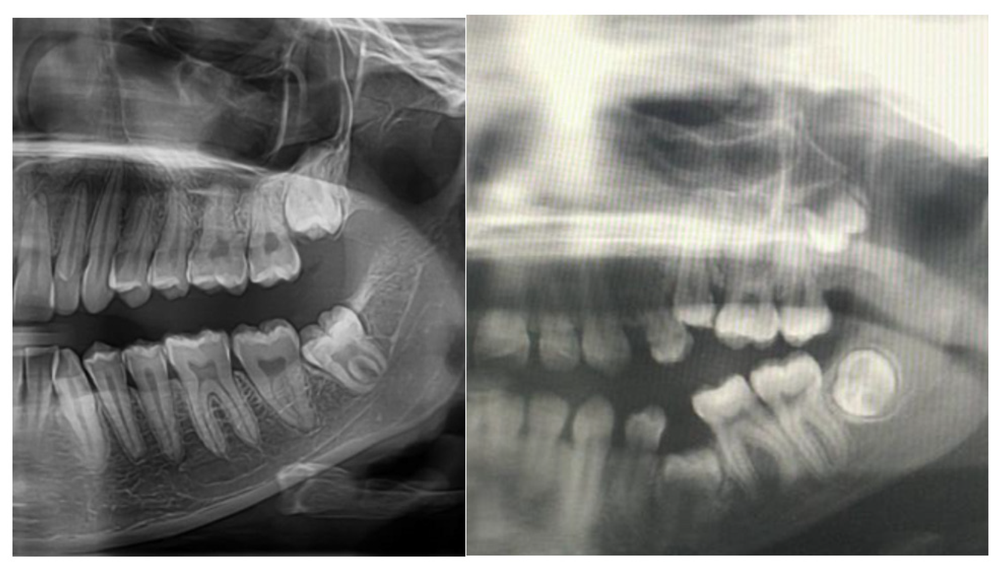Cimb 45 00089 g001 Cimb 45 00089 g001