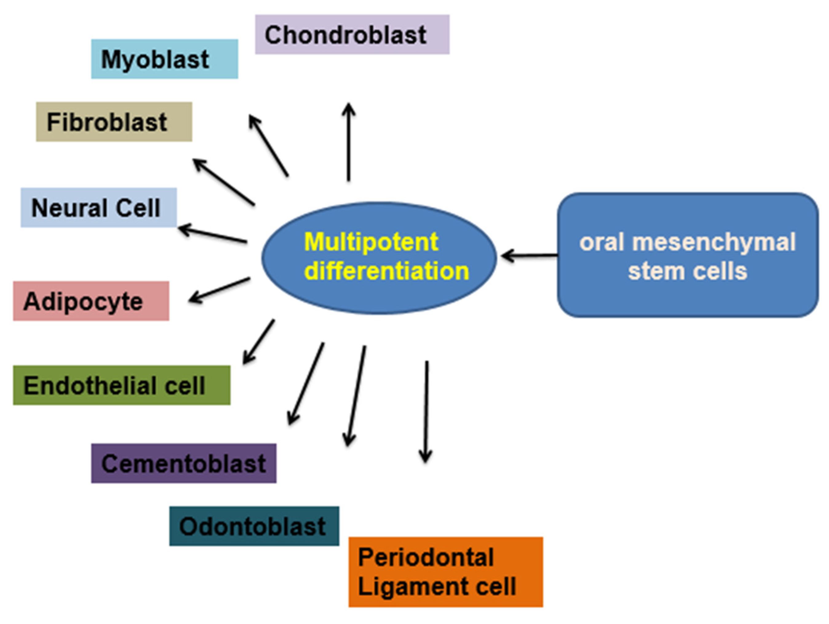 Cimb 45 00089 g005 Cimb 45 00089 g005