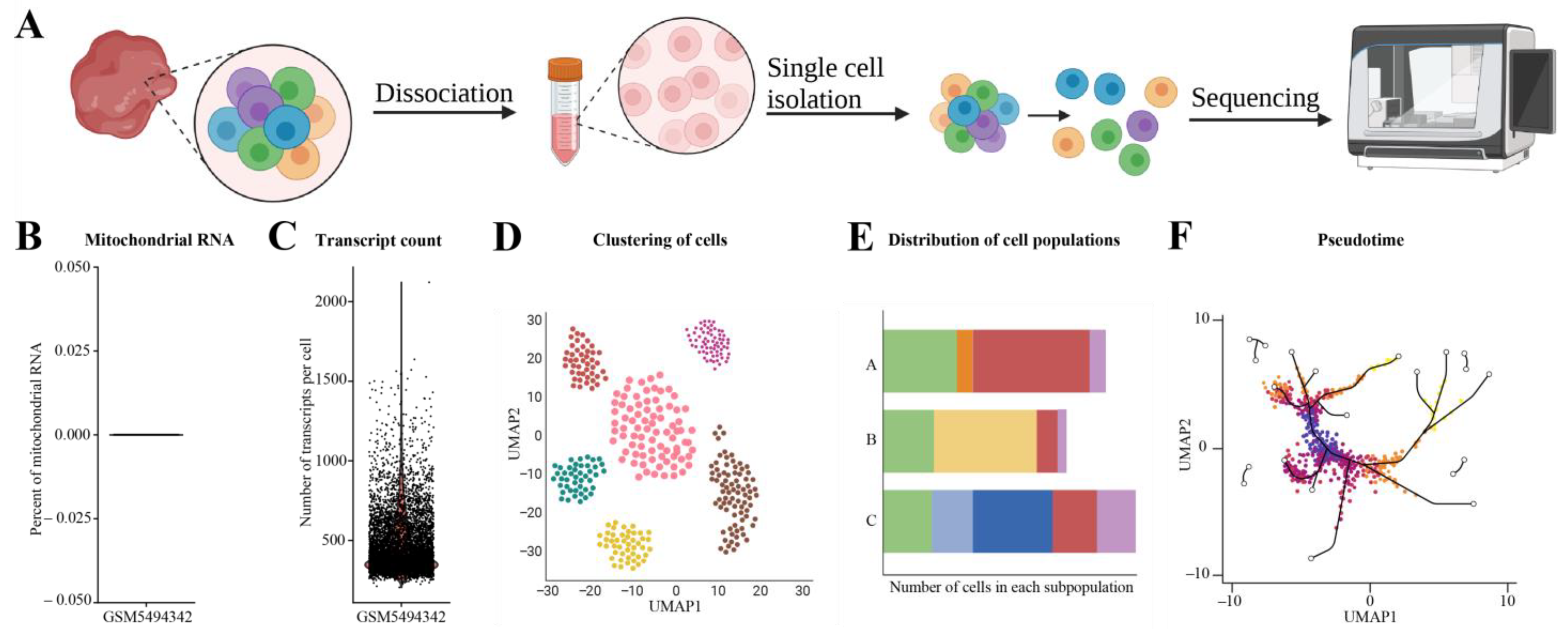 Cimb 45 00120 g006 Cimb 45 00120 g006