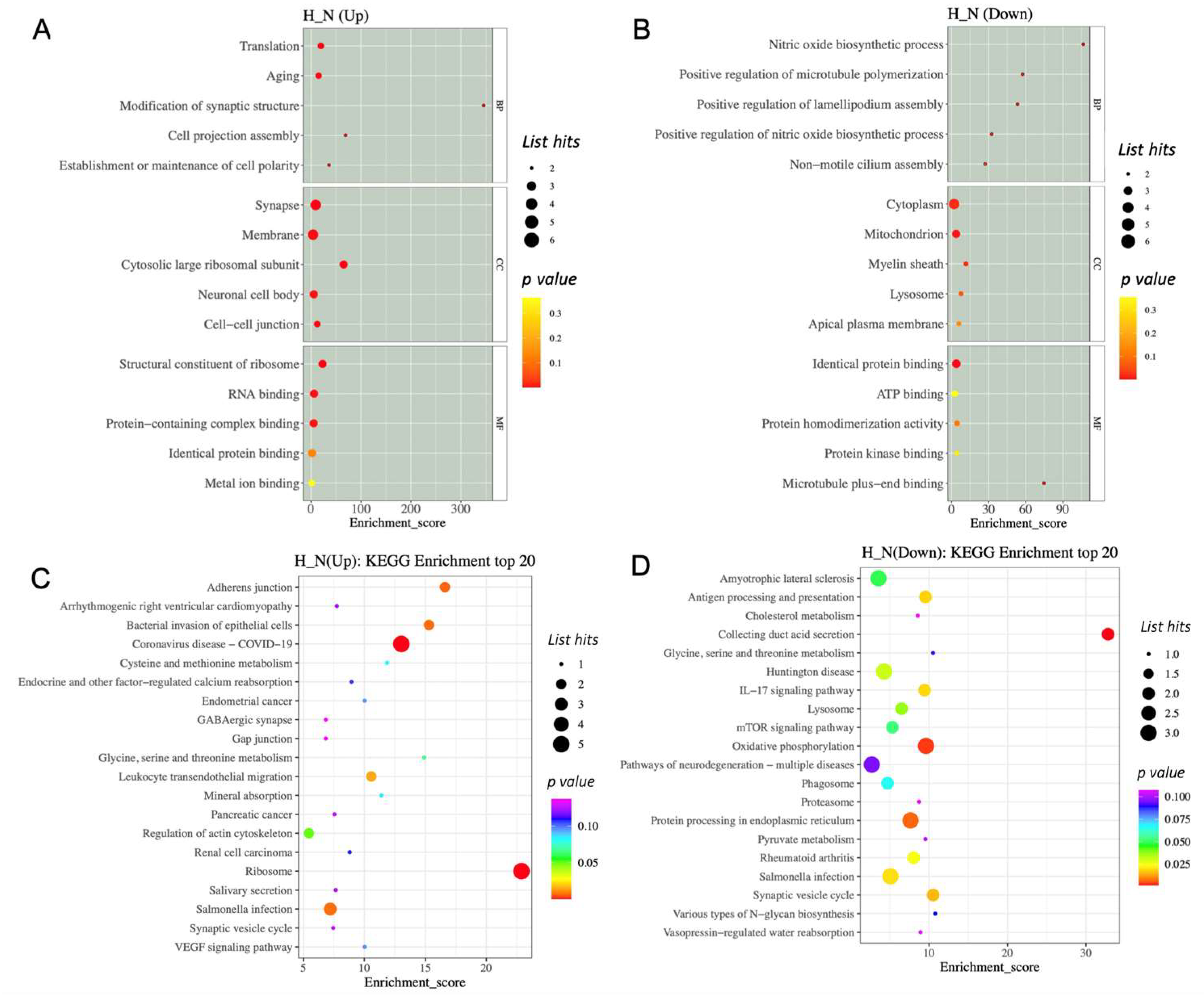 Cimb 45 00127 g005 Cimb 45 00127 g005