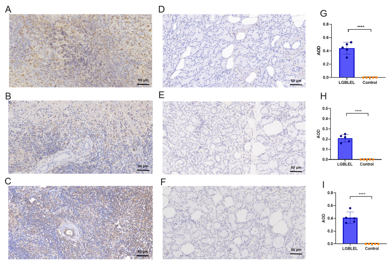 Cimb 45 00129 g004 Cimb 45 00129 g004