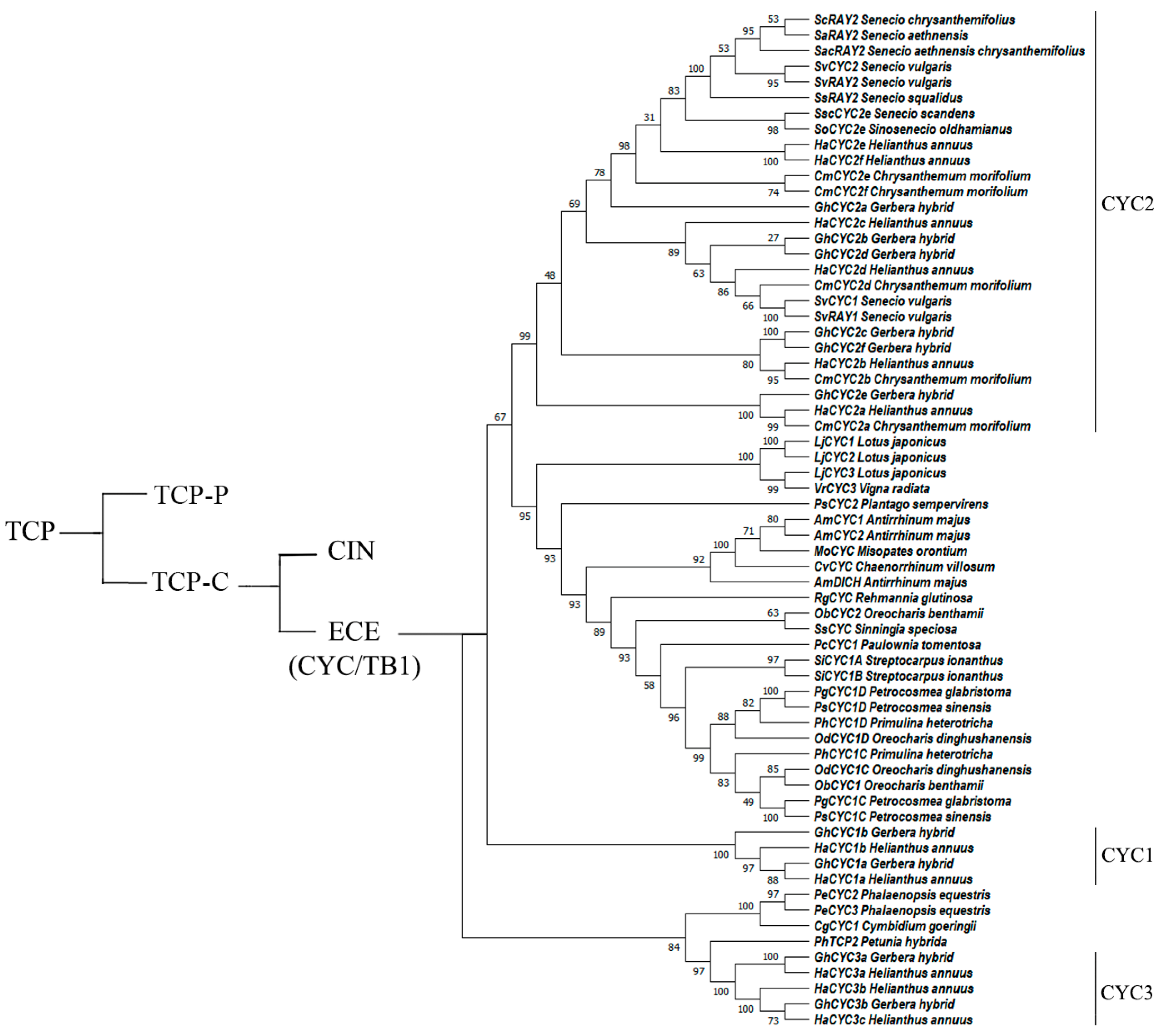 Cimb 45 00131 g001 Cimb 45 00131 g001