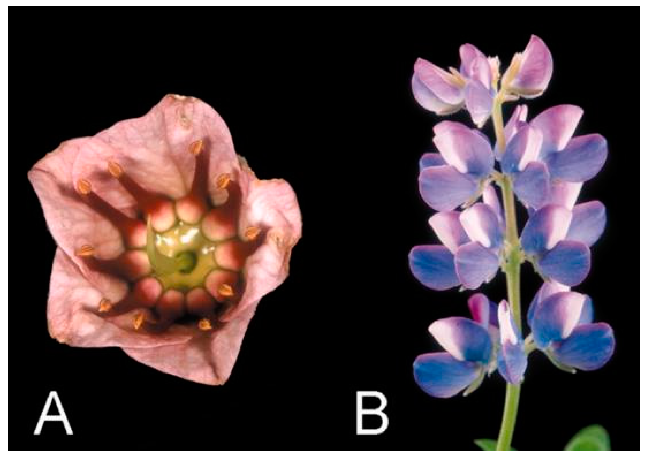 Cimb 45 00131 g002 Cimb 45 00131 g002