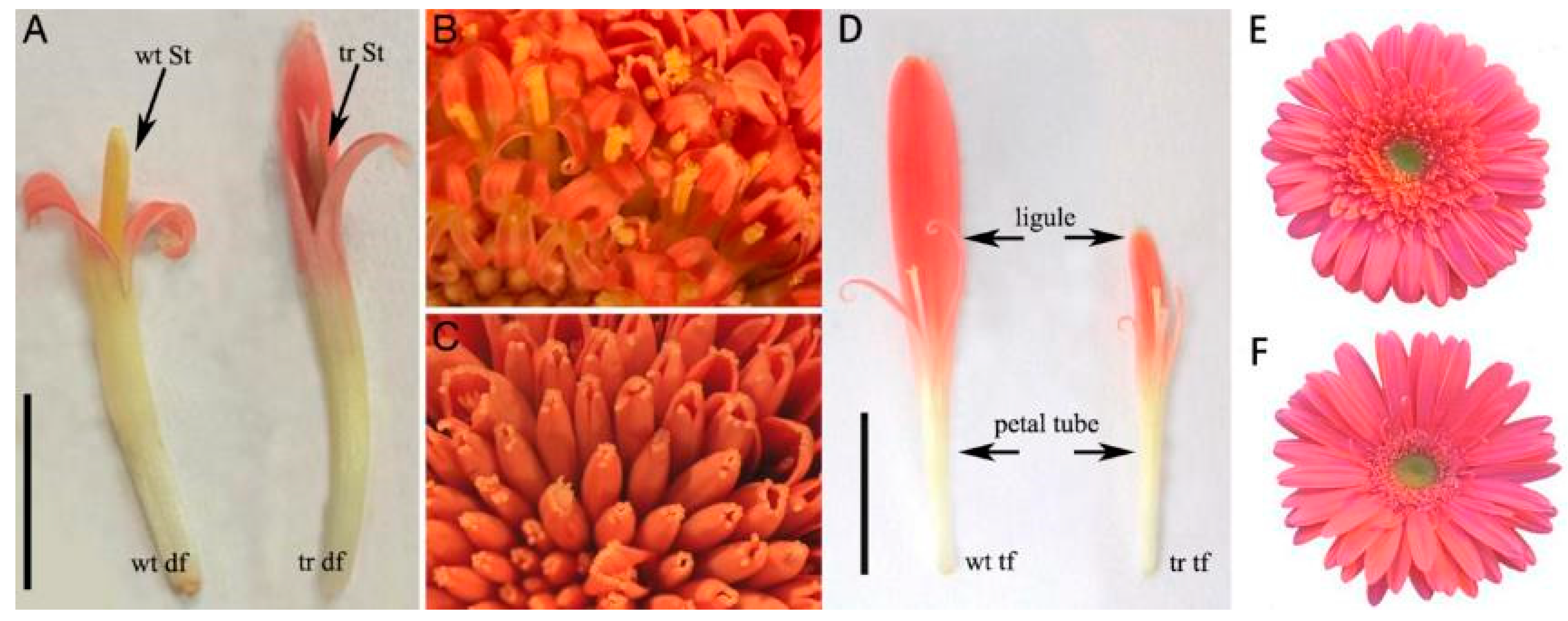Cimb 45 00131 g004 Cimb 45 00131 g004