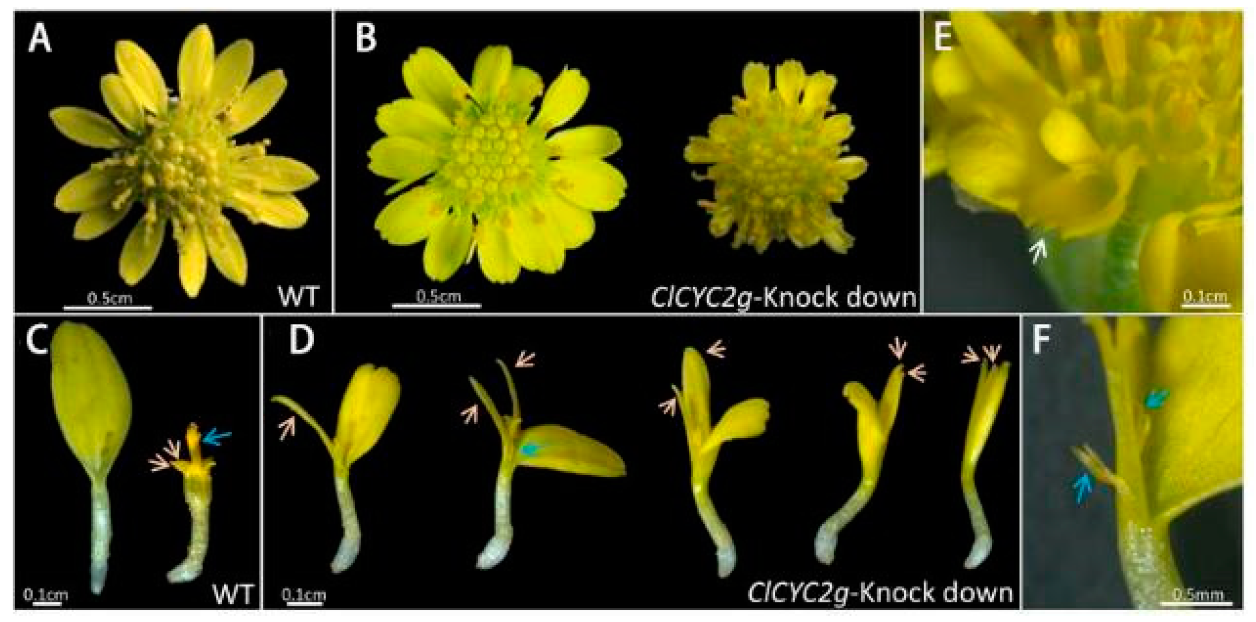 Cimb 45 00131 g005 Cimb 45 00131 g005