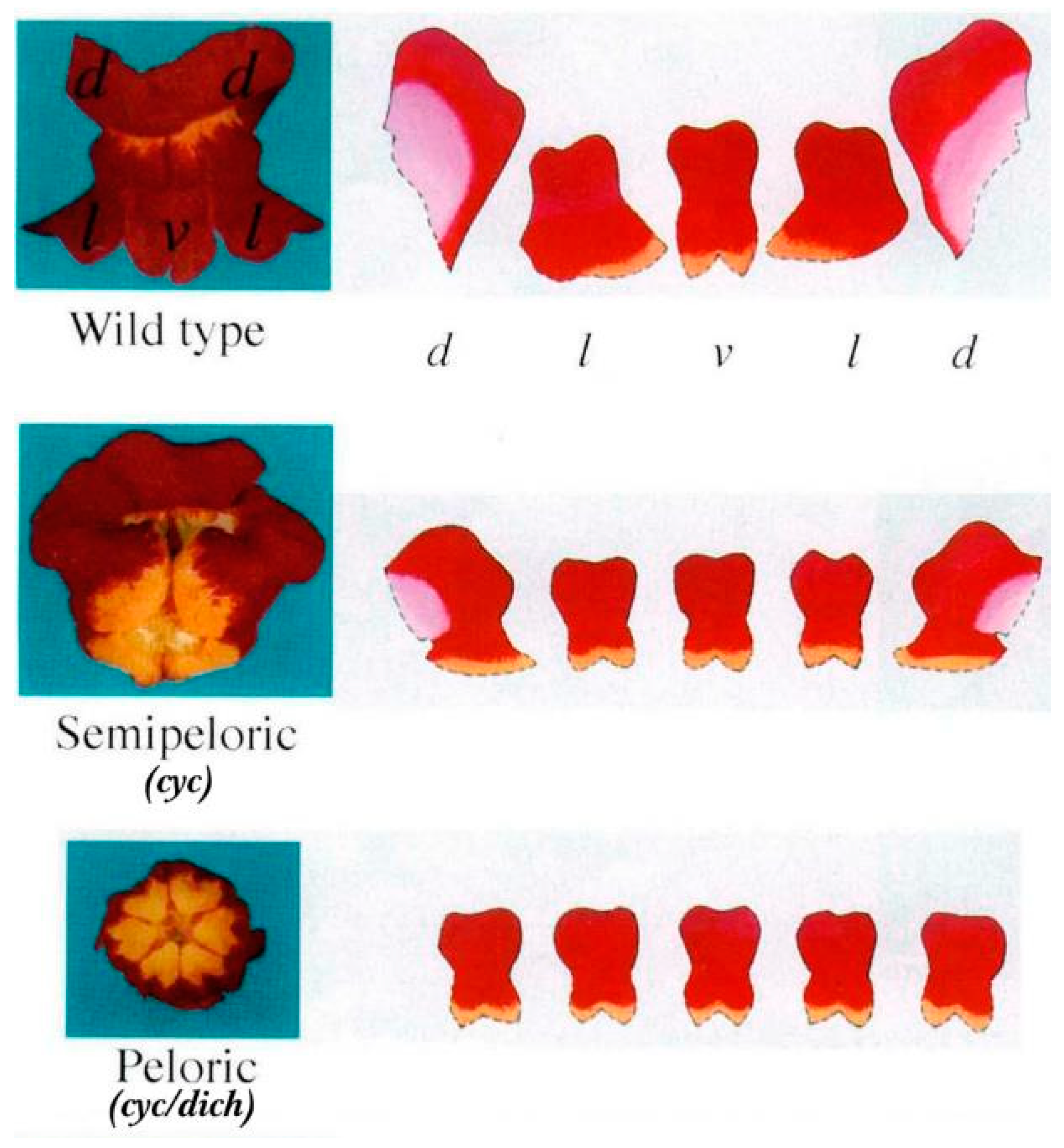 Cimb 45 00131 g006 Cimb 45 00131 g006
