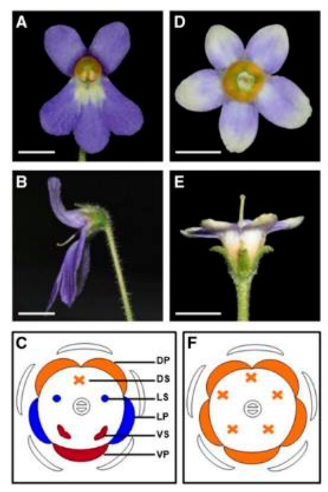 Cimb 45 00131 g007 Cimb 45 00131 g007