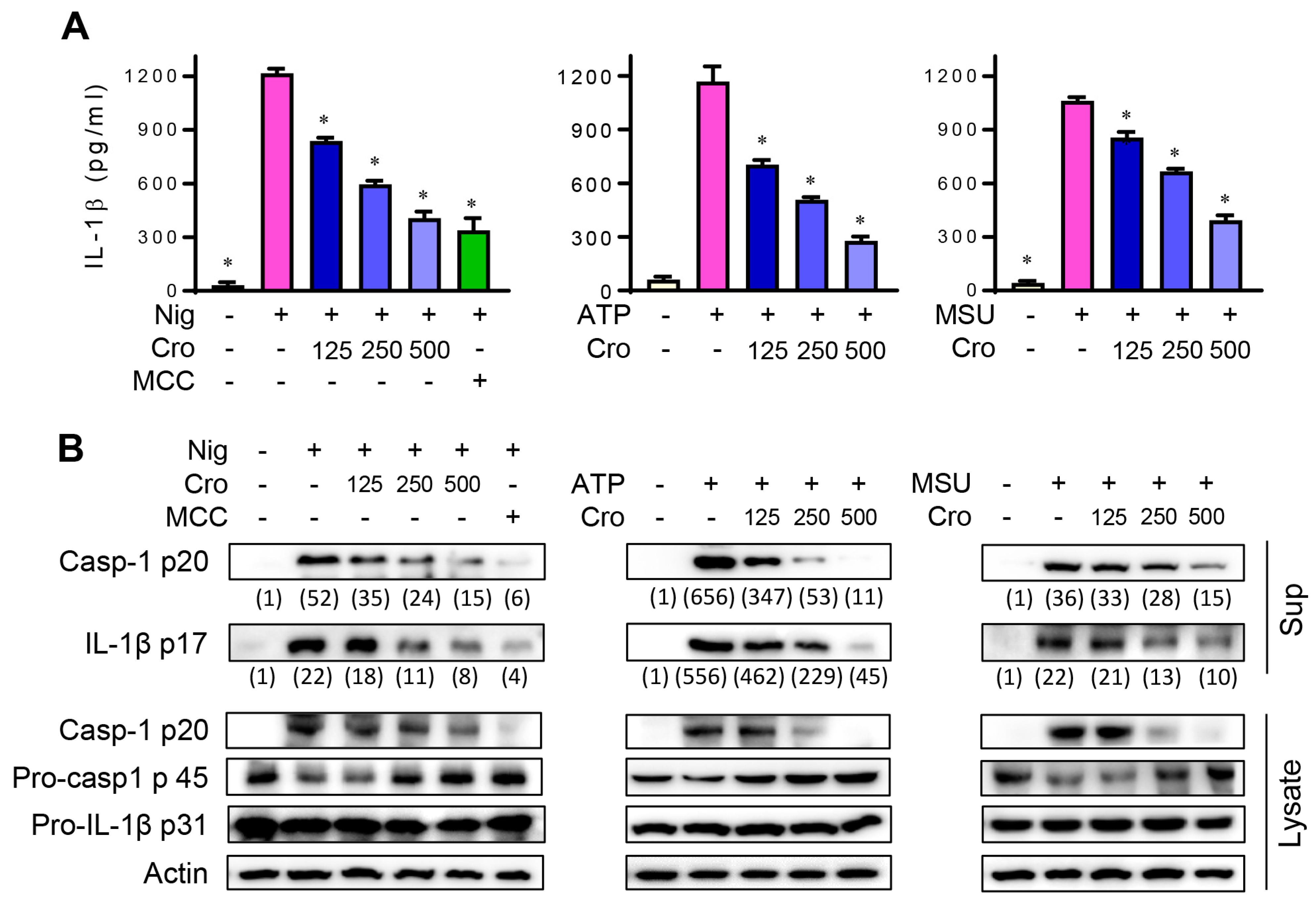 Cimb 45 00134 g001 Cimb 45 00134 g001