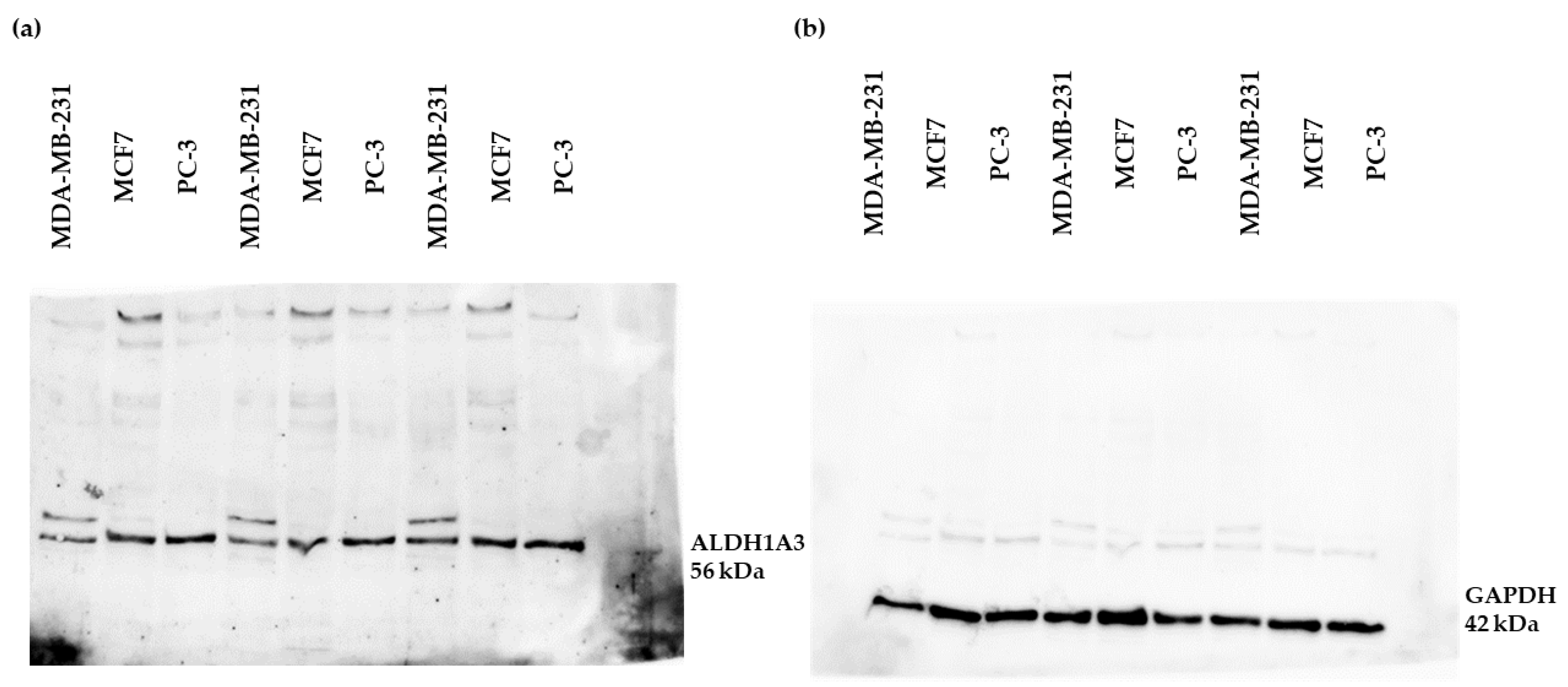 Cimb 45 00139 g002 Cimb 45 00139 g002